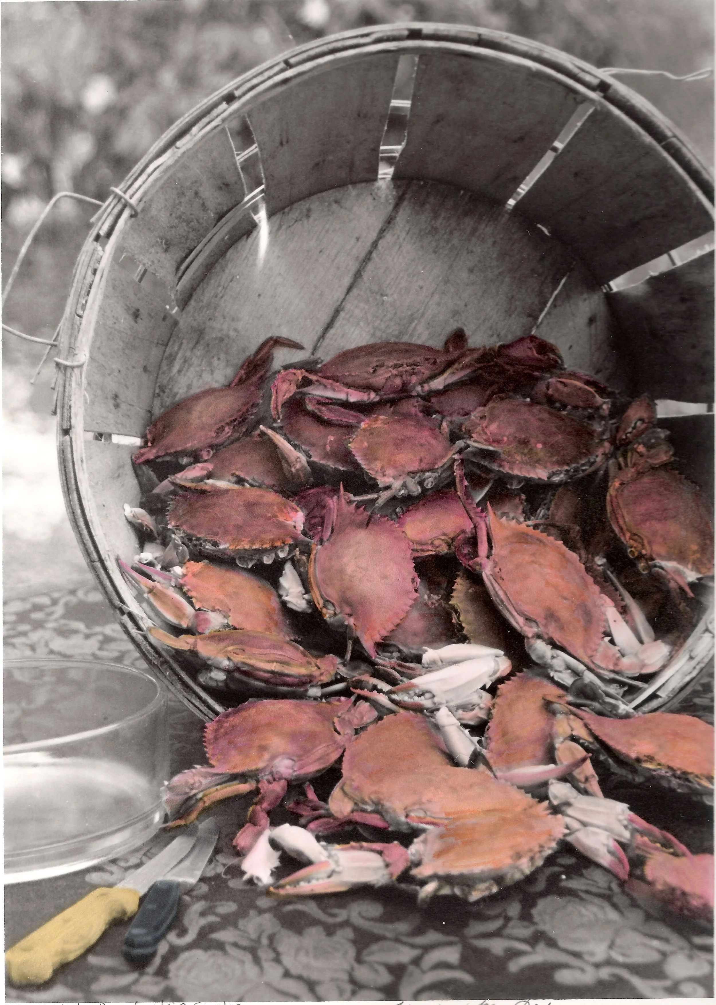 Hand-Painted- "Sallie's Daufuskie Crabs" Basket of Cooked Crabs, Beaufort County, SC. From Sallie Ann Robinson's Cooking the Gullah Way: Morning Noon and Night, UNC Press.