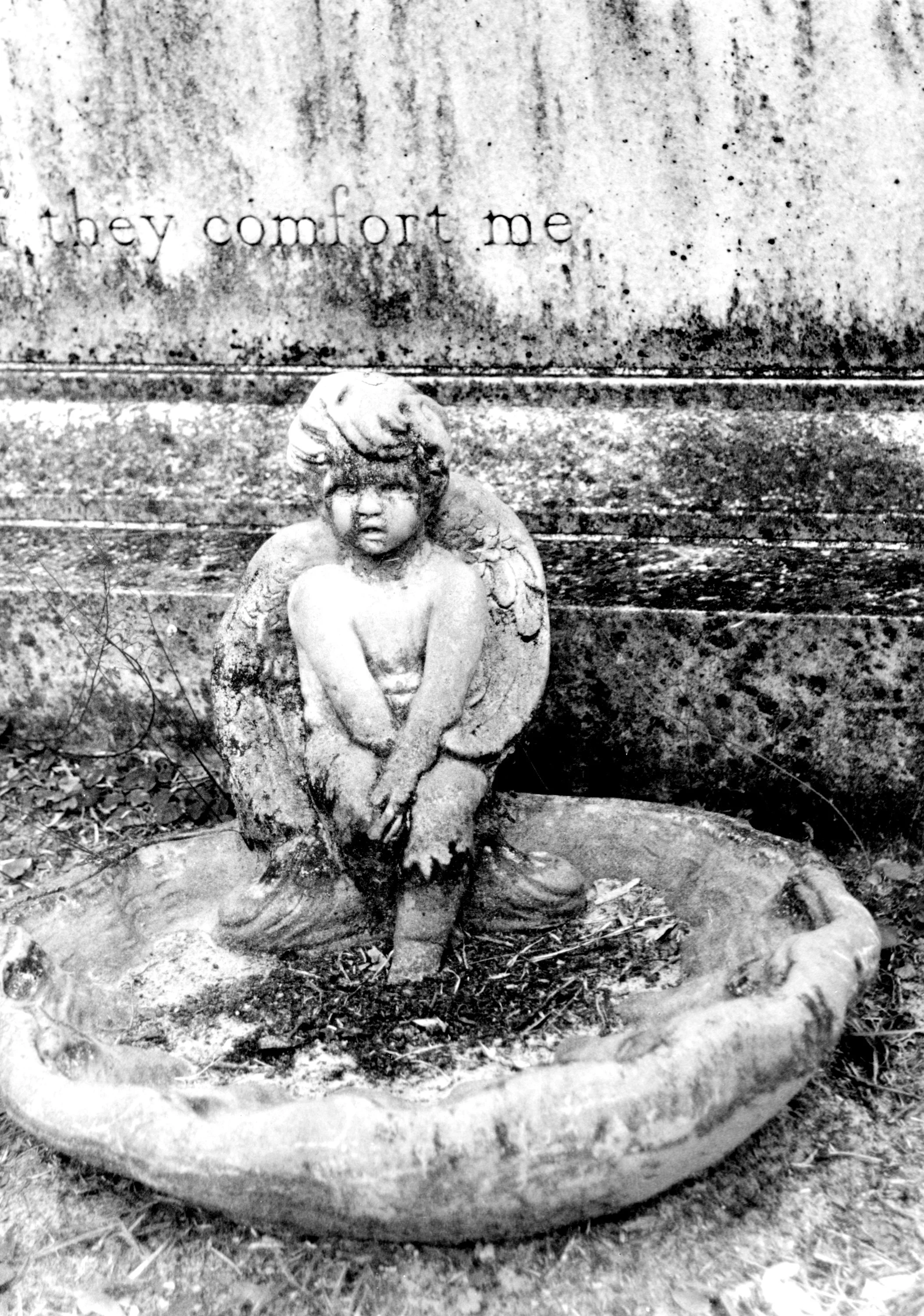 Classic B&W: "Comfort Me" Statuary. Engraving. Cherub. Shell. Bonaventure Cemetery, Savannah GA