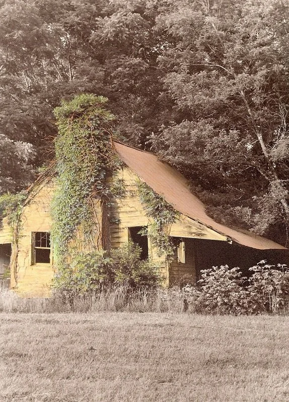 Hand-Painted-"Verdant Persistence" Kudzu. Vines. Shack. Trees. Shrubs. Field. Blairsville, GA. Oils