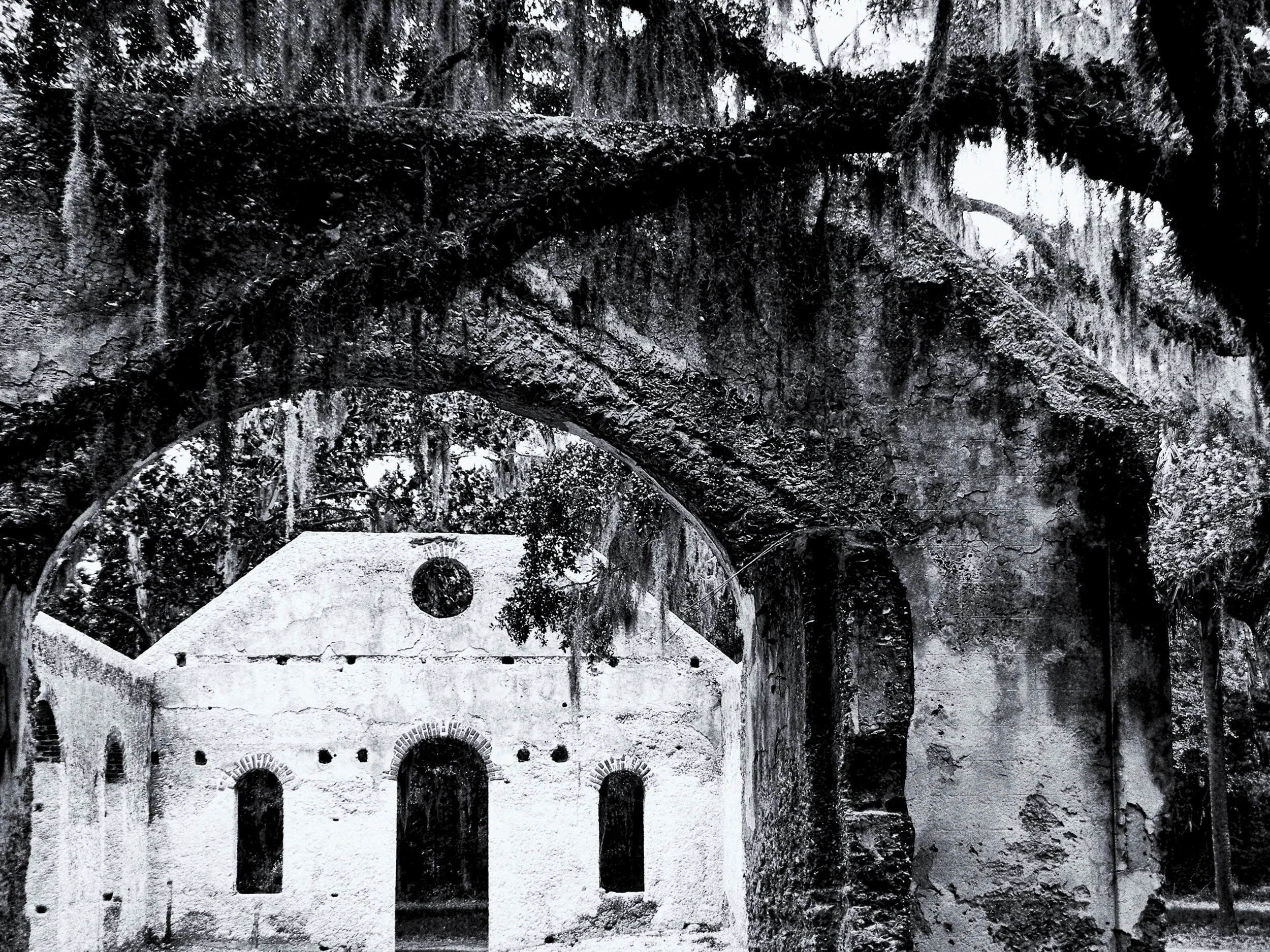 Classic B&W: "Chapel of Ease" Church Ruins, Tabby. Building. Shell. Live Oak. Tree, St. Helena  Island, Beaufort County SC
