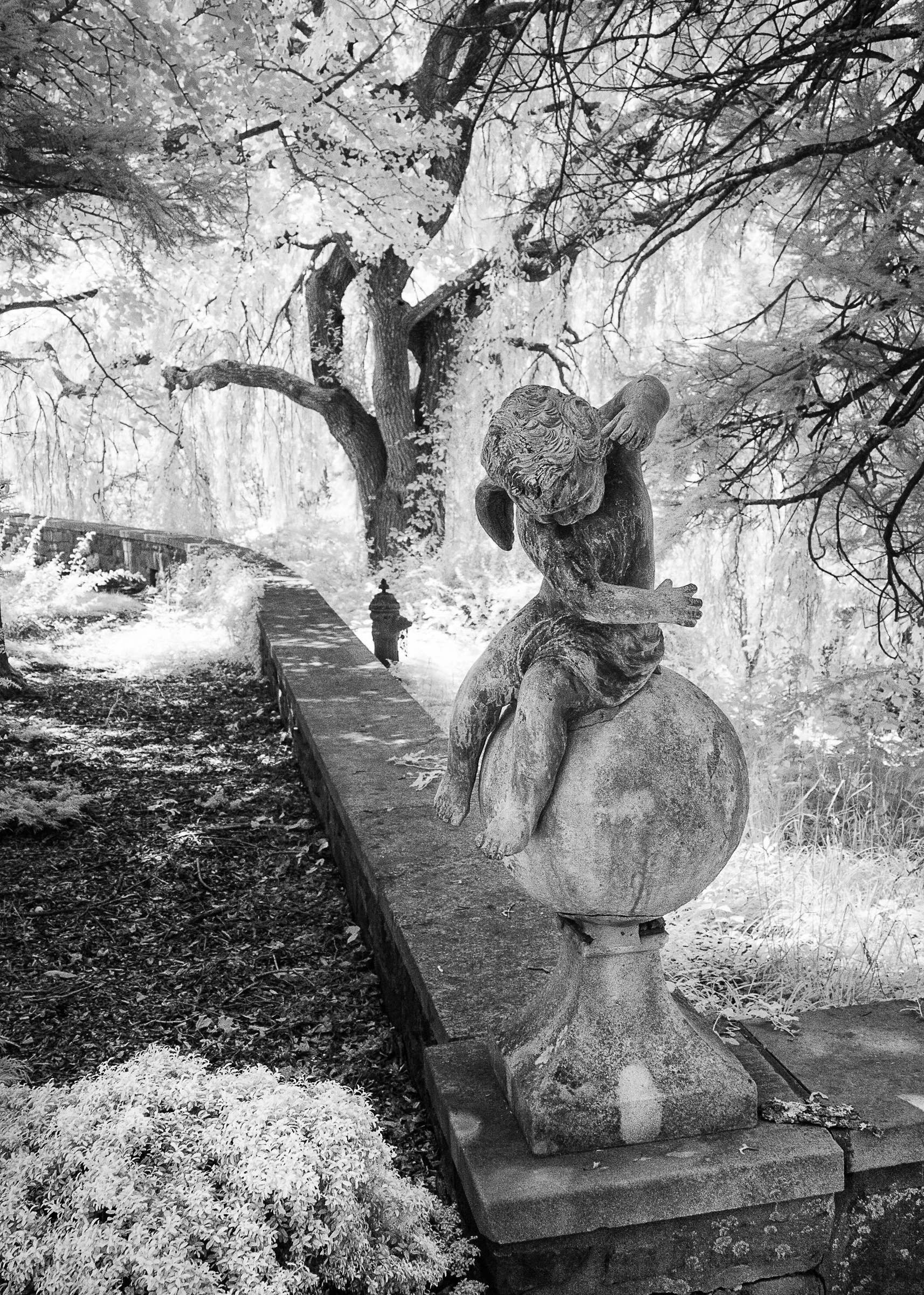 Infrared- "Cherub on Sphere" Skylands Manor. Statuary. Tree. Garden. Wall. Ringwood, NJ