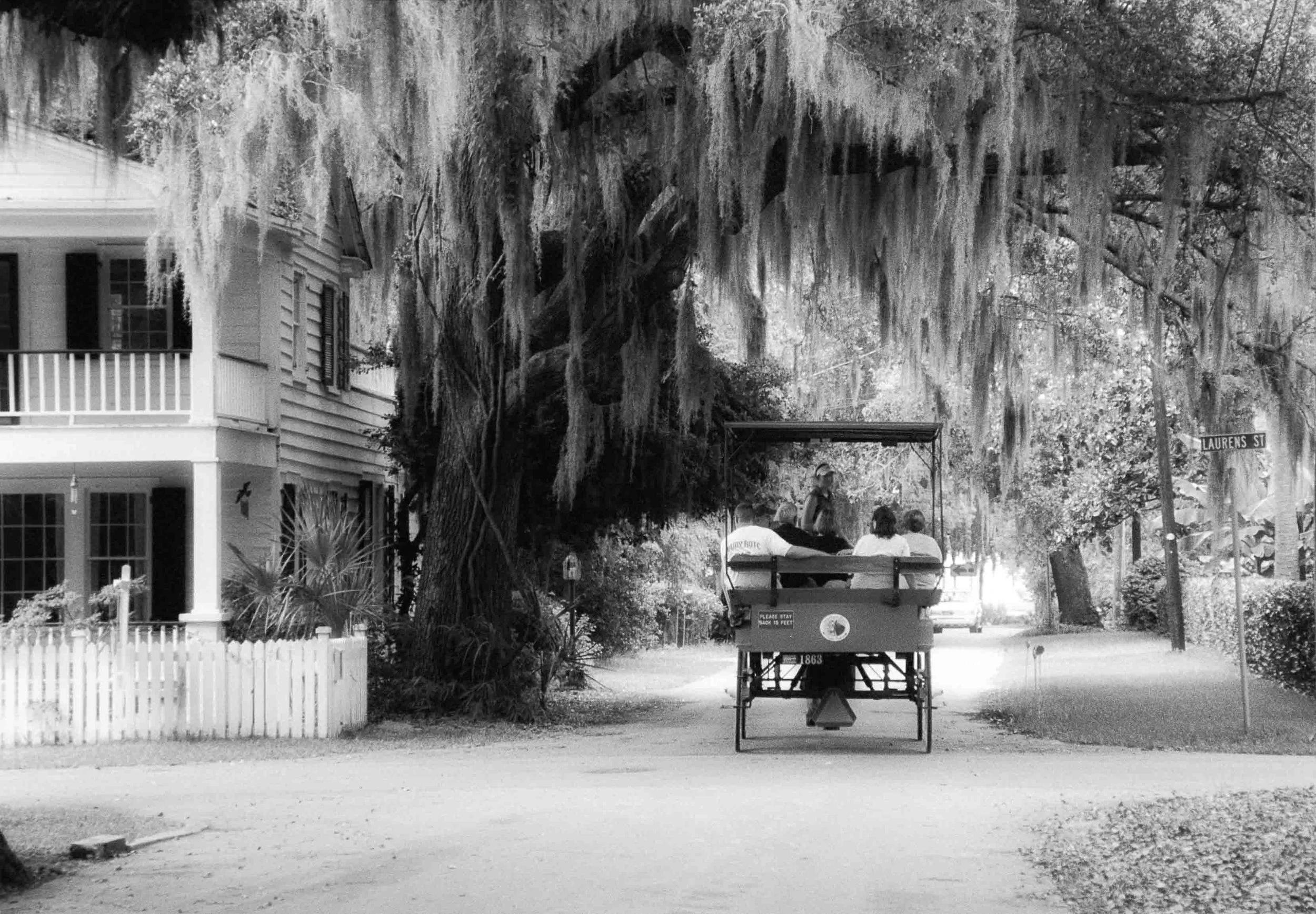 Classic B&W: "Drawn Through History" Horse Drawn Carriage. Tour. Ride. Antebellum .House. Streets. "The Point." Downtown Beaufort SC