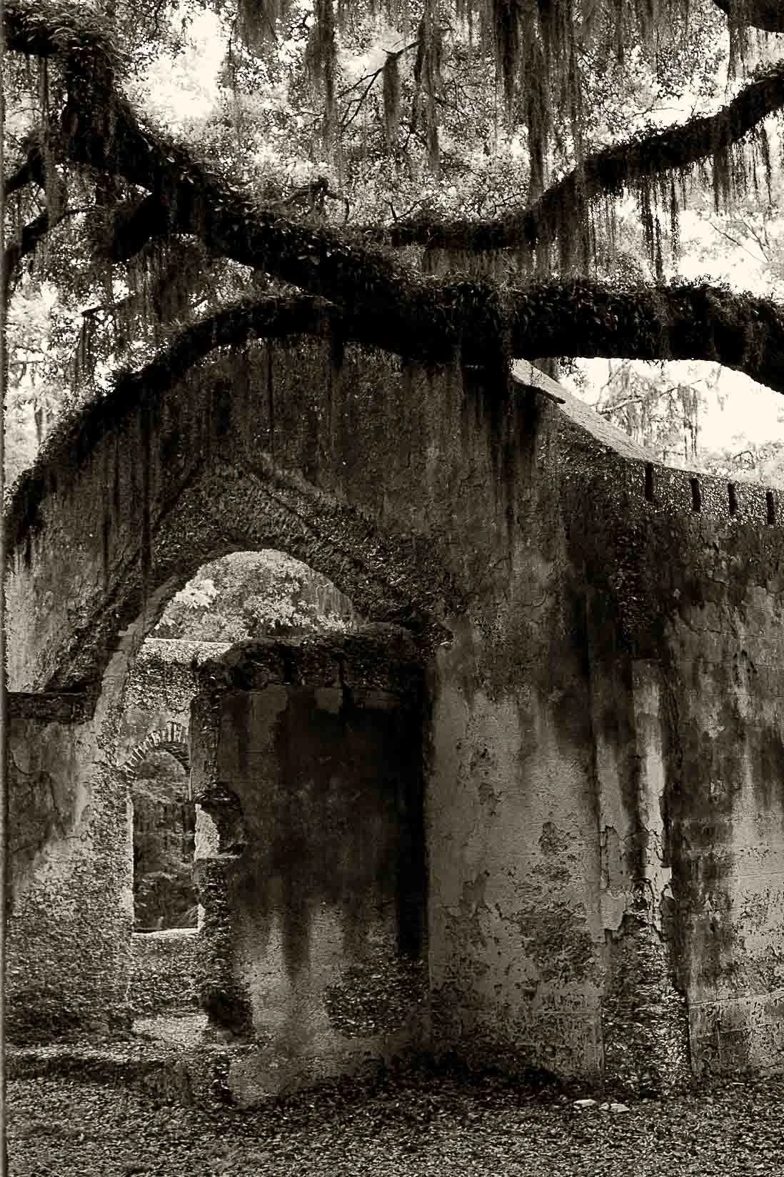 Classic B&W: "Chapel of Ease Ruins" Sepia. Arch. Tabby. Live Oak. Tree. St. Helena Island, Beaufort County, SC. 