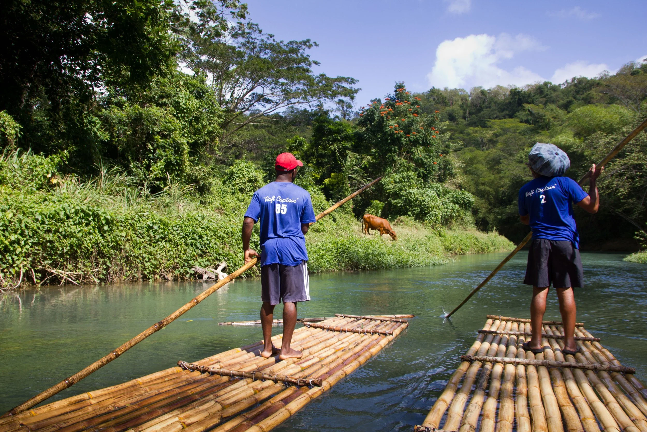 Simply Color- "Reef Captains & Cow" River. Rafts. Hats. Jamaica