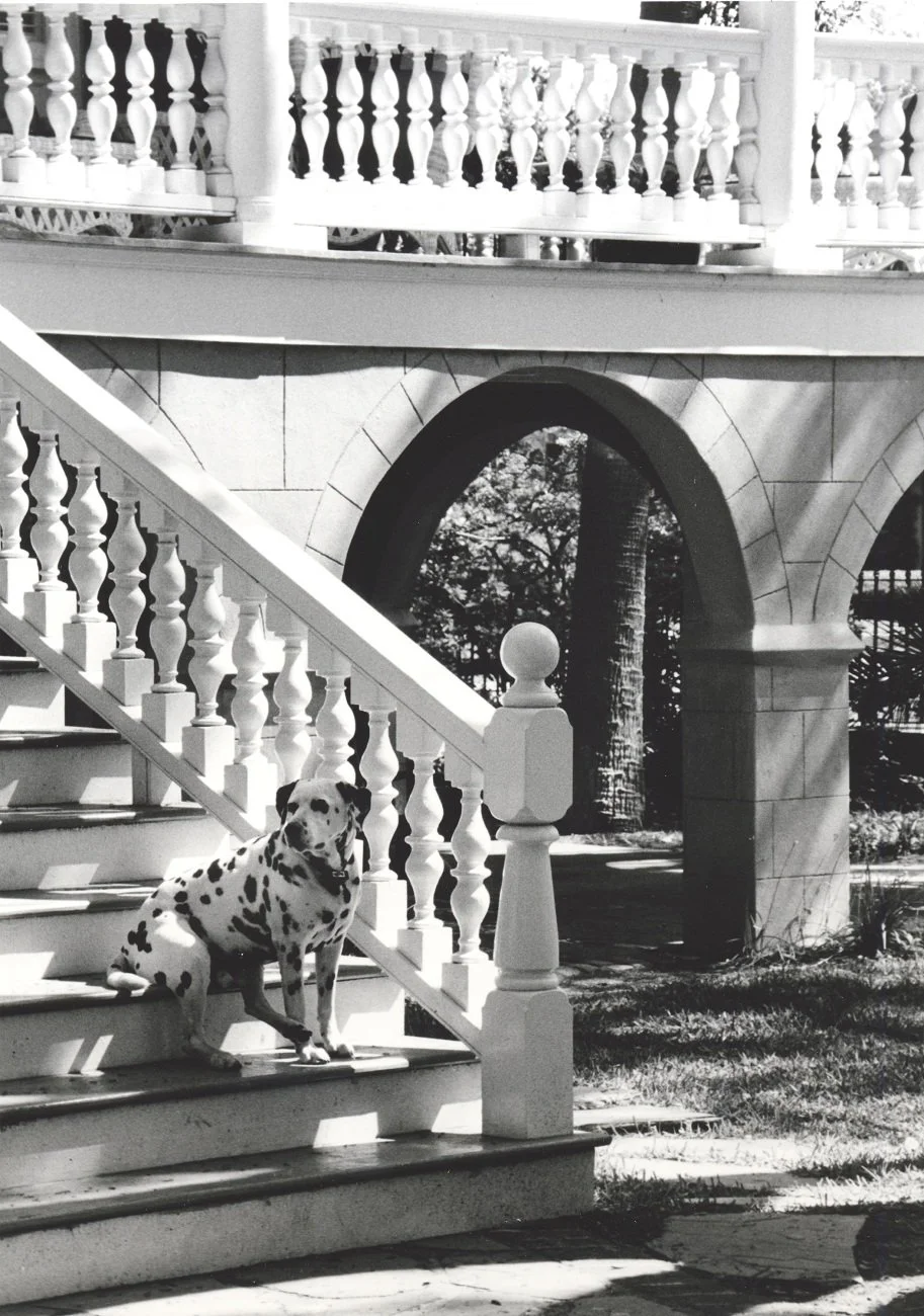 Classic B&W: "On Watch" Dogs. Dalmations.  Antebellum House. Railing. Arches. 'The Point,' Downtown Beaufort, SC 
