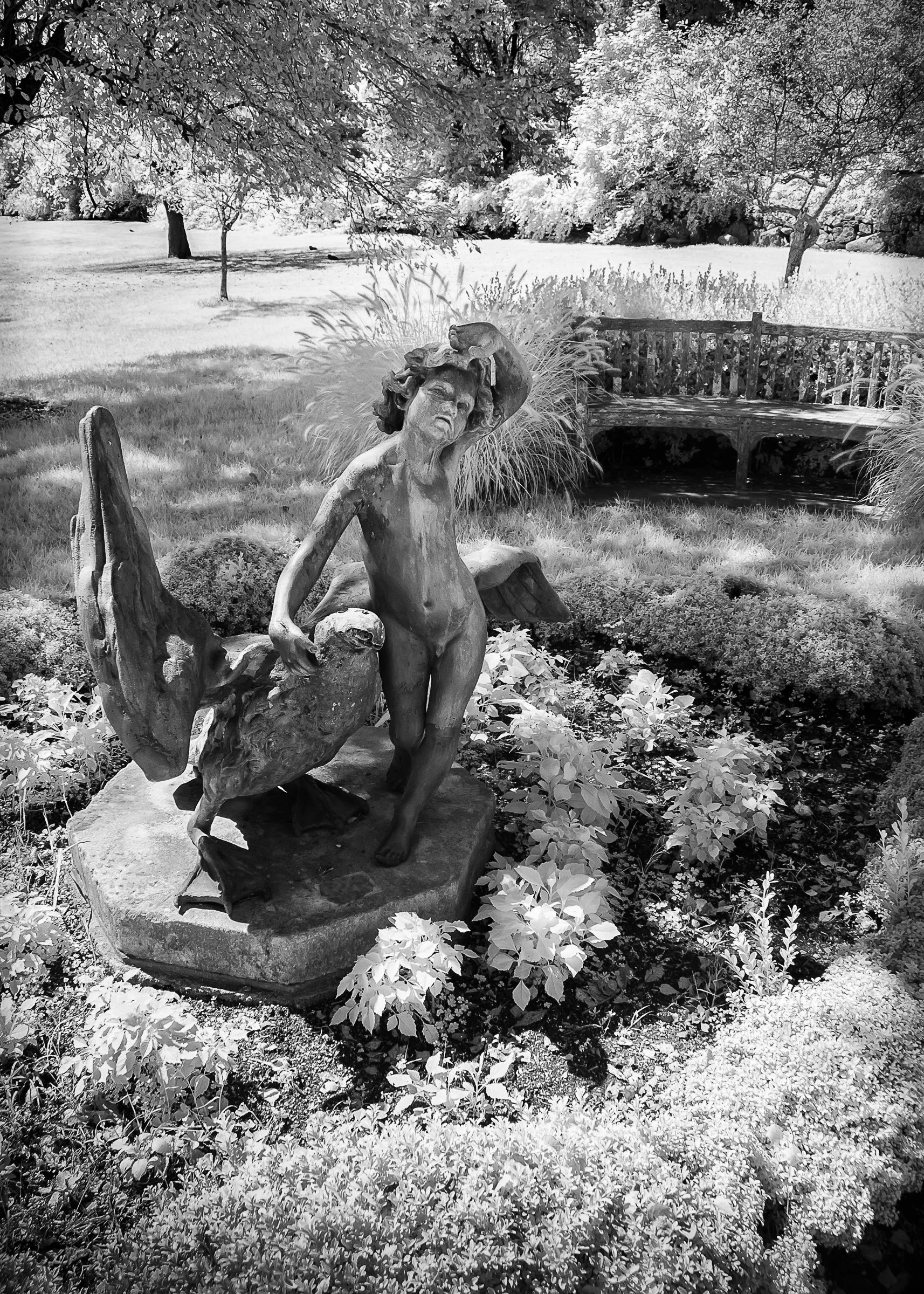 Infrared- "Naked Cherub, Skylands Manor" Boy. Child .Statuary. Garden. Lawn. Ringwood, NJ