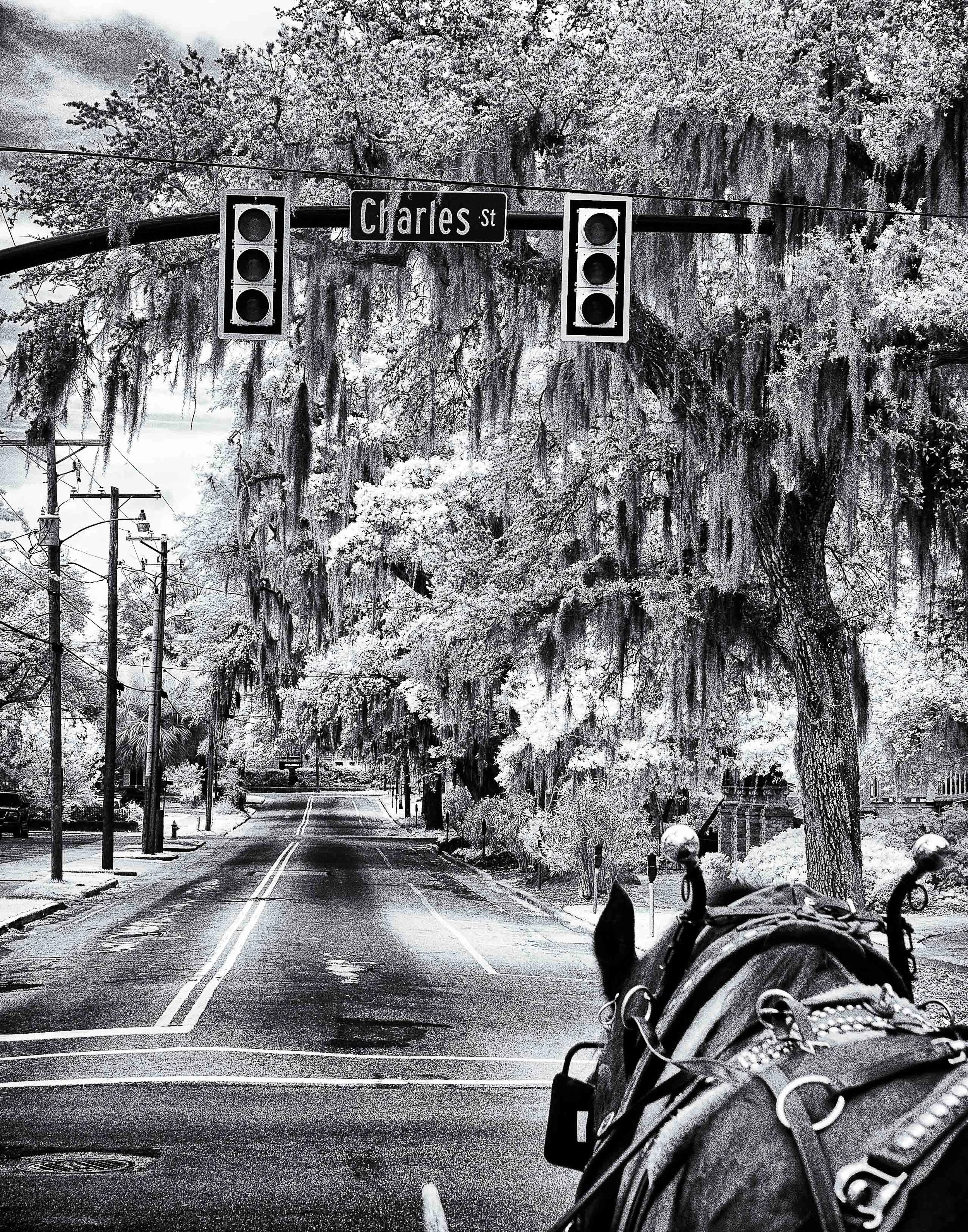Infrared- "Crossing Charles" Horse Drawn Carriage. Street, Traffic Light. Sign. Downtown Beaufort, SC