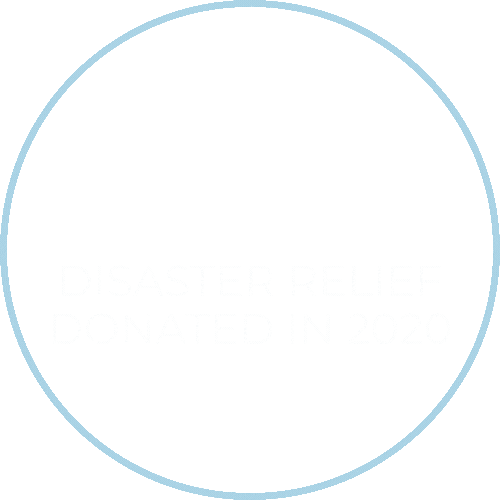 GRAPHIC SHOW THAT IN 2020 LES DAMES NASHVILLE CONTRIBUTED OVER $8000 IN DISASTER RELIEF LOCALLY AND NATIONALLY