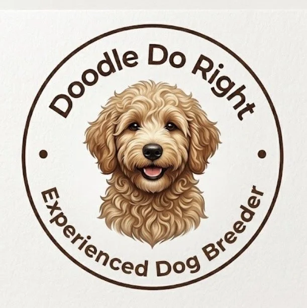 Doodle Do Right