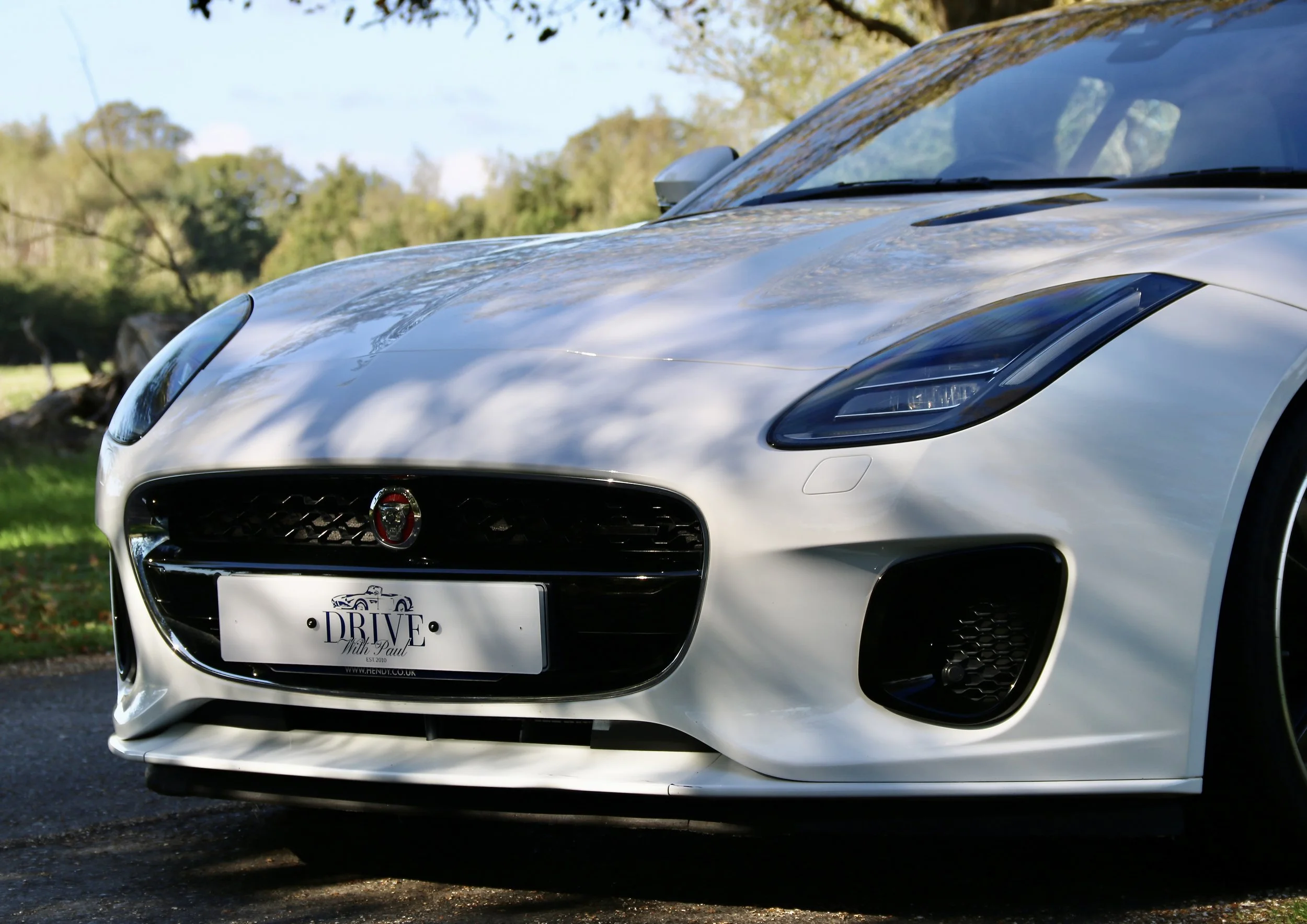 2017 Jaguar F Type I4 R-Dynamic Coupe front grille.JPG