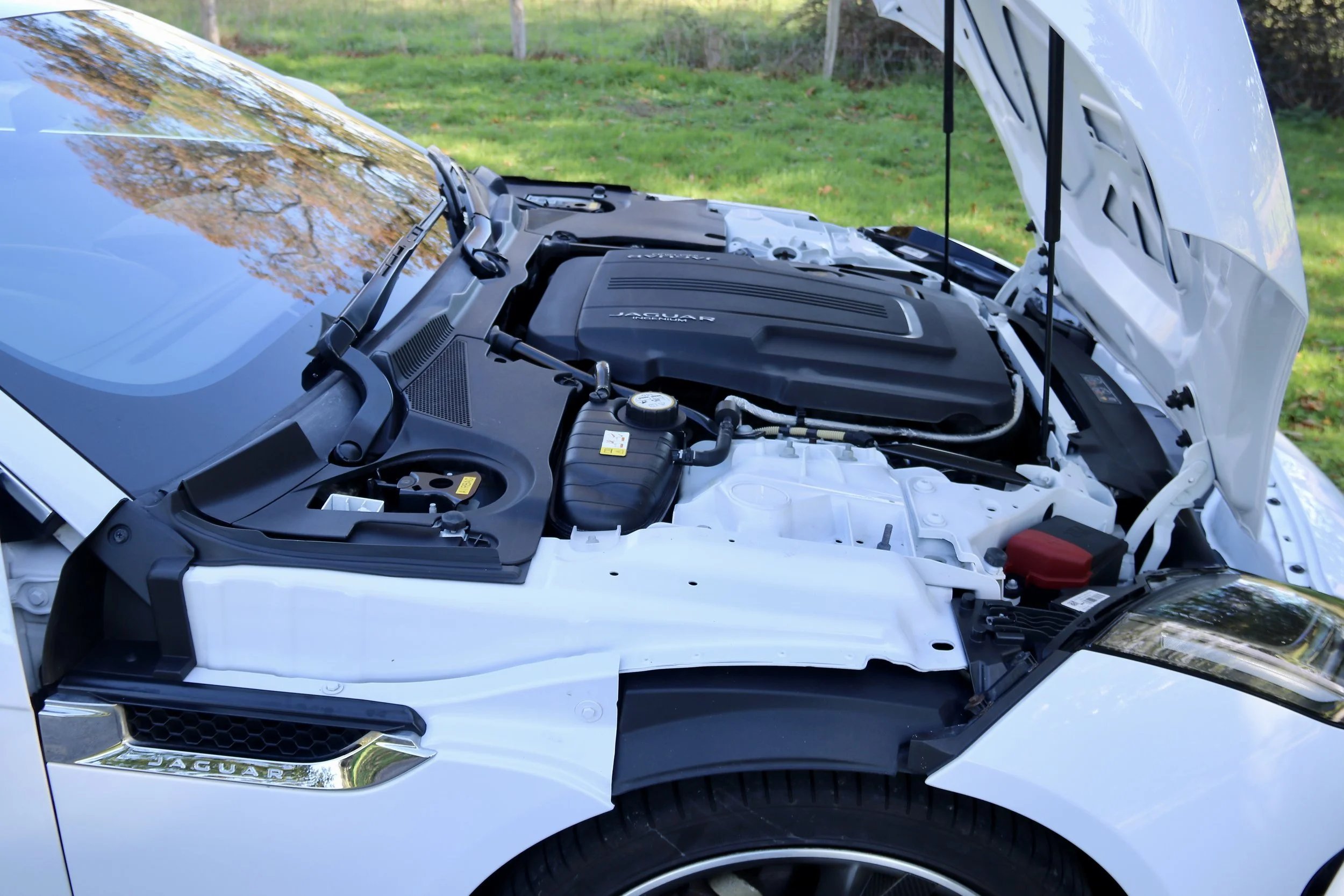2017 Jaguar F Type I4 R-Dynamic Coupe Engine bay.JPG