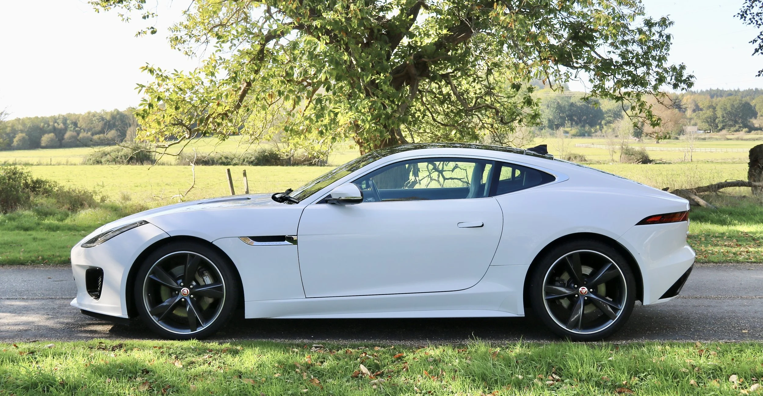 2017 Jaguar F Type I4 R-Dynamic Coupe left side.JPG