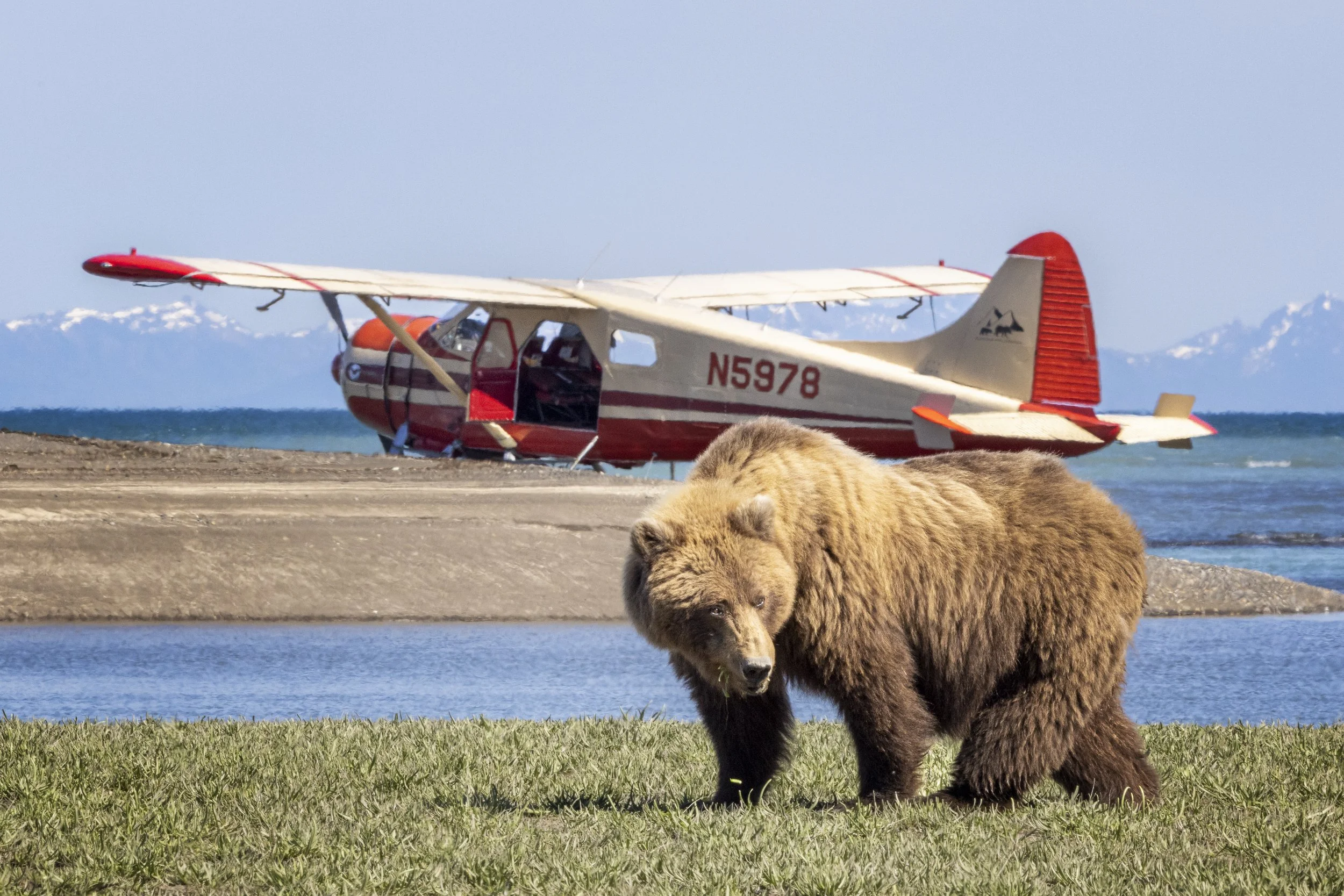 bigmommaplane.jpg