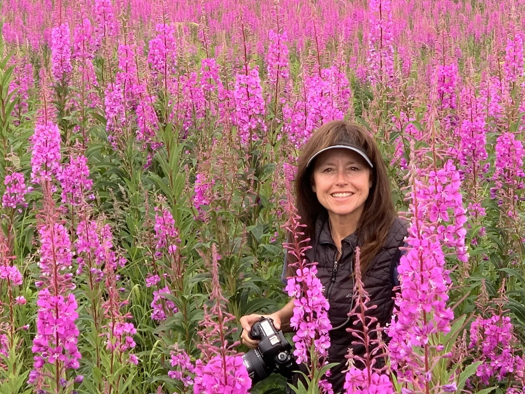 Jennifer Smith kneeling with her camera in a field of Alaskan fireweed