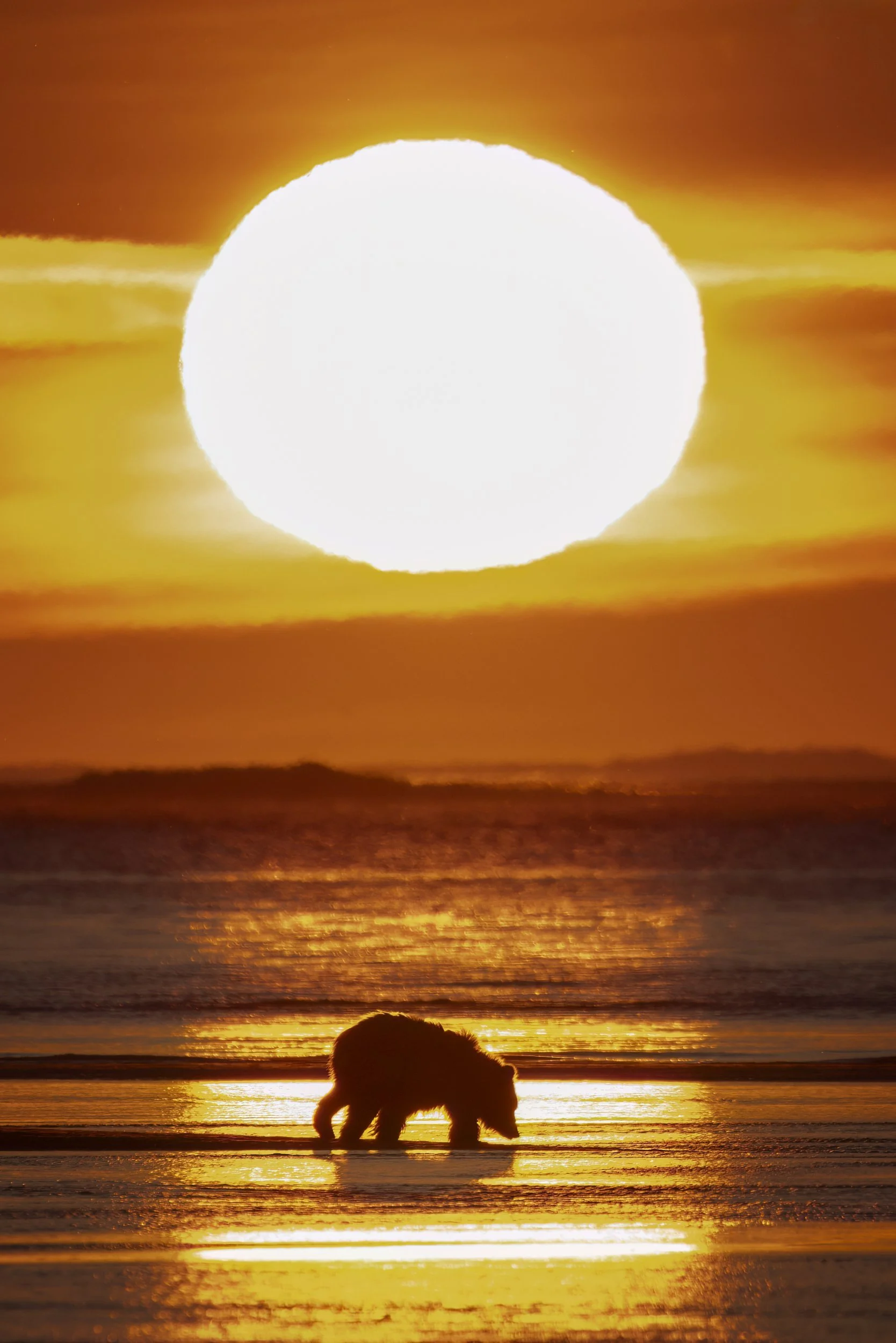sunrisesubadult.jpg