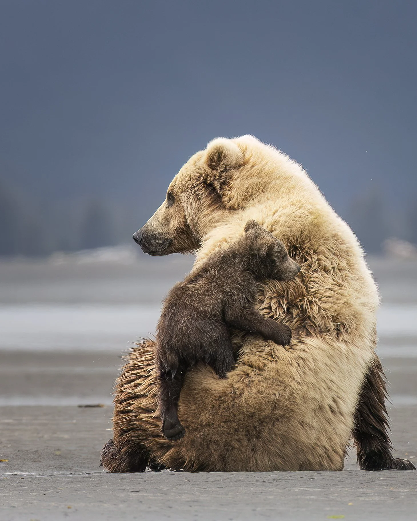 bearhug.jpg