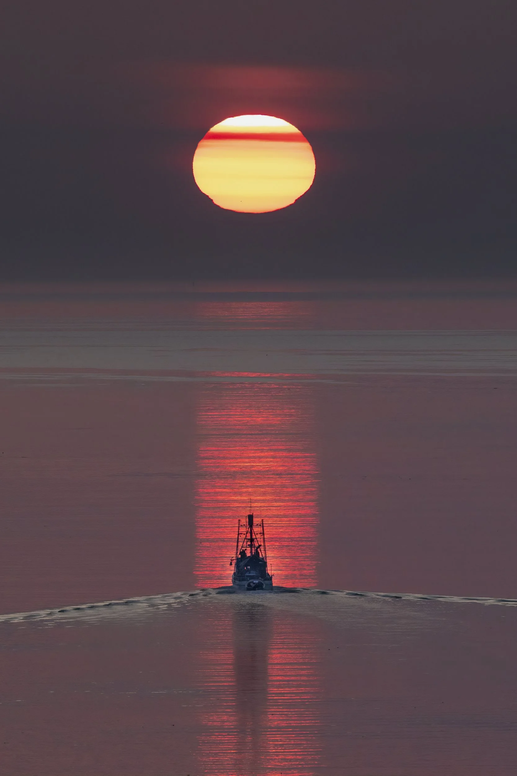 sunriseboat.jpg