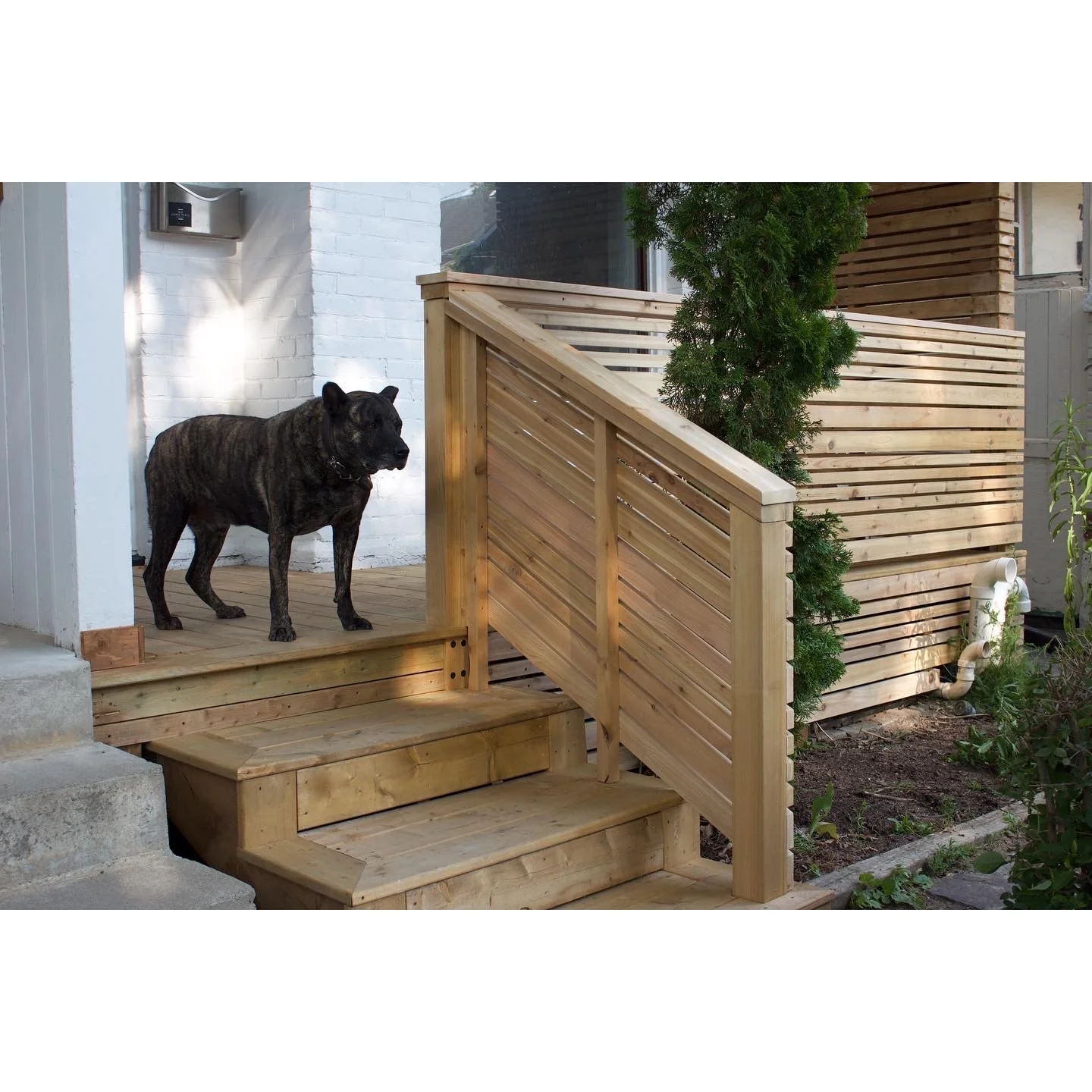 Junction Triangle // Cedar Porch
