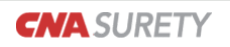 CNA Surety logo