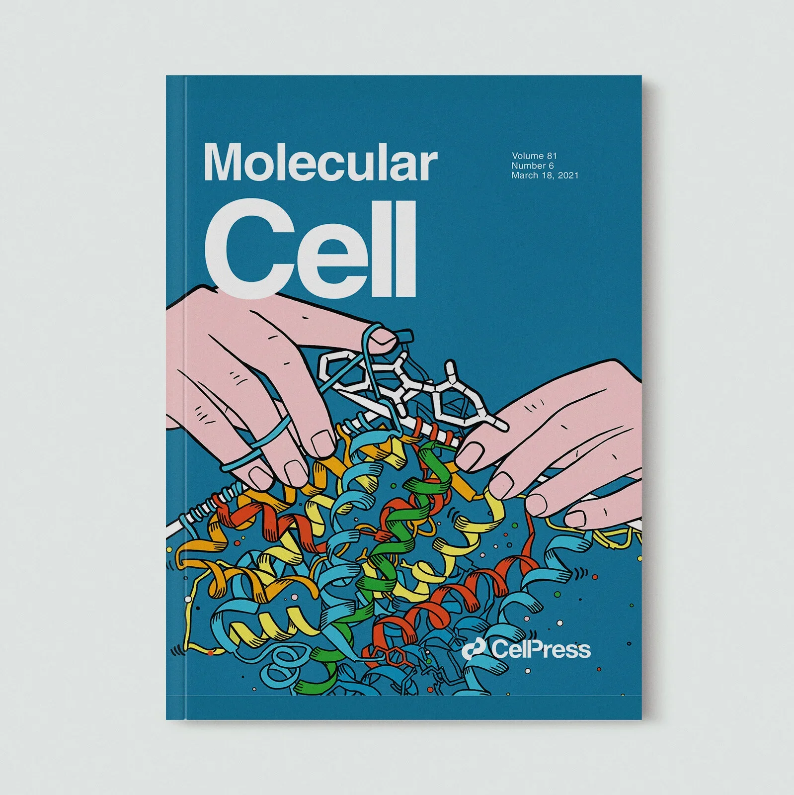 Cover of a scientific publication titled 'Molecular Cell,' featuring an illustration of two hands holding intertwined colorful molecular structures against a blue background. The publication details indicate volume 81, number 6, published on March 18
