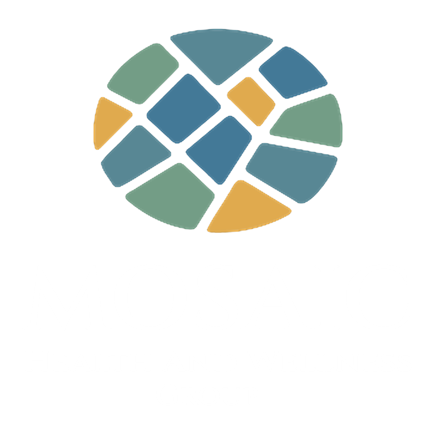 Mosaic Health and Wellness Group