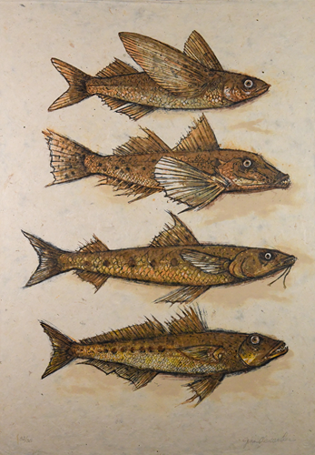 Strange Fish, 32/35, 2002, Color lithograph, 30x22