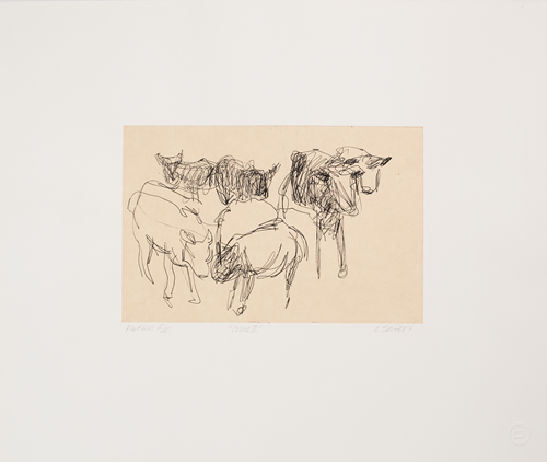 Cows II, Flatbed II/II, (?), 15x17-1/2
