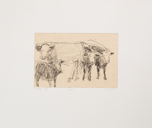 Cows, Flatbed II/II, (?), 15x17-1/2