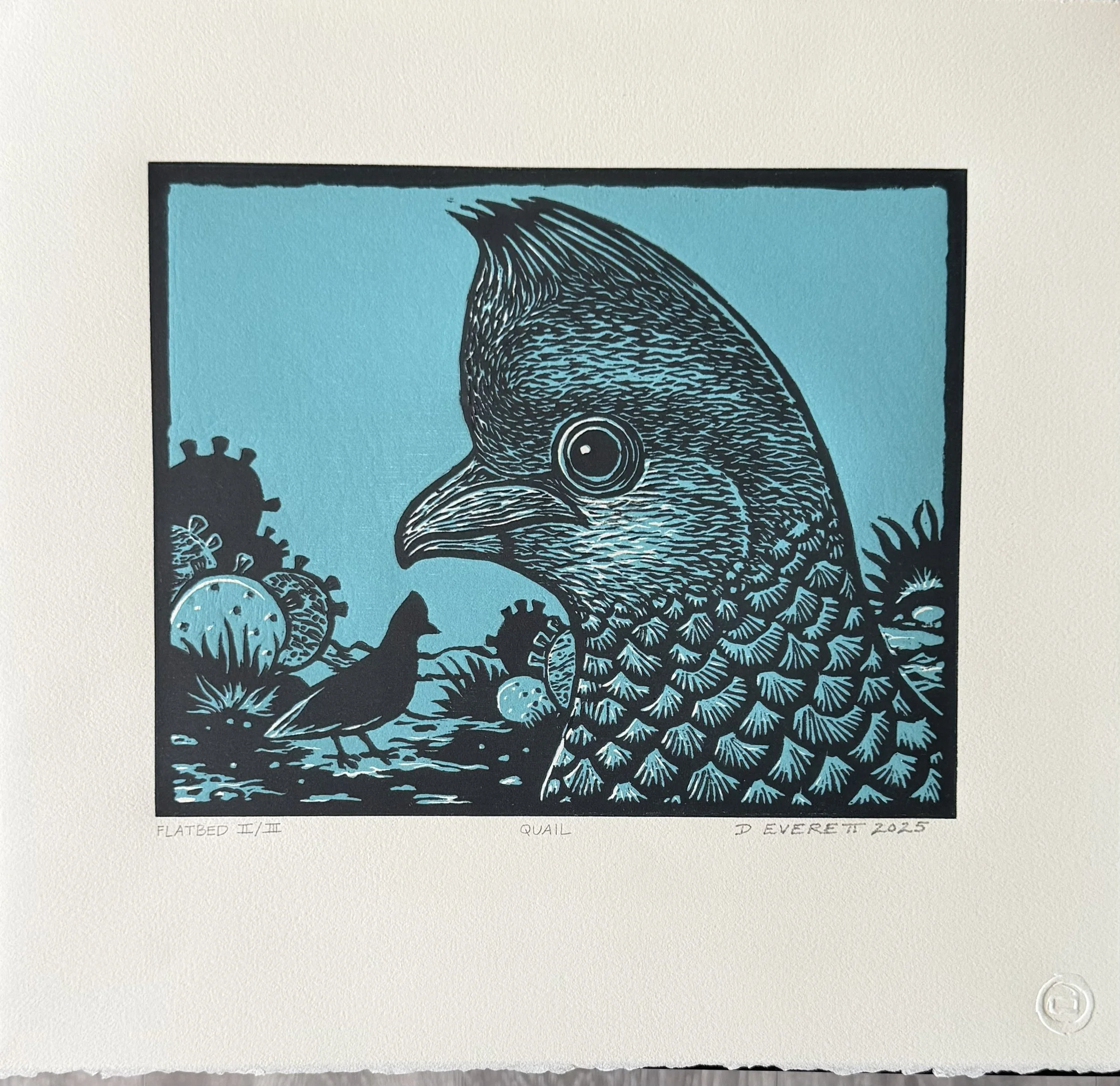 David Everett, Quail, 2019