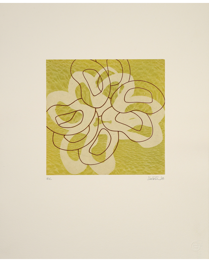 Medley II, 2008, Joan Winter