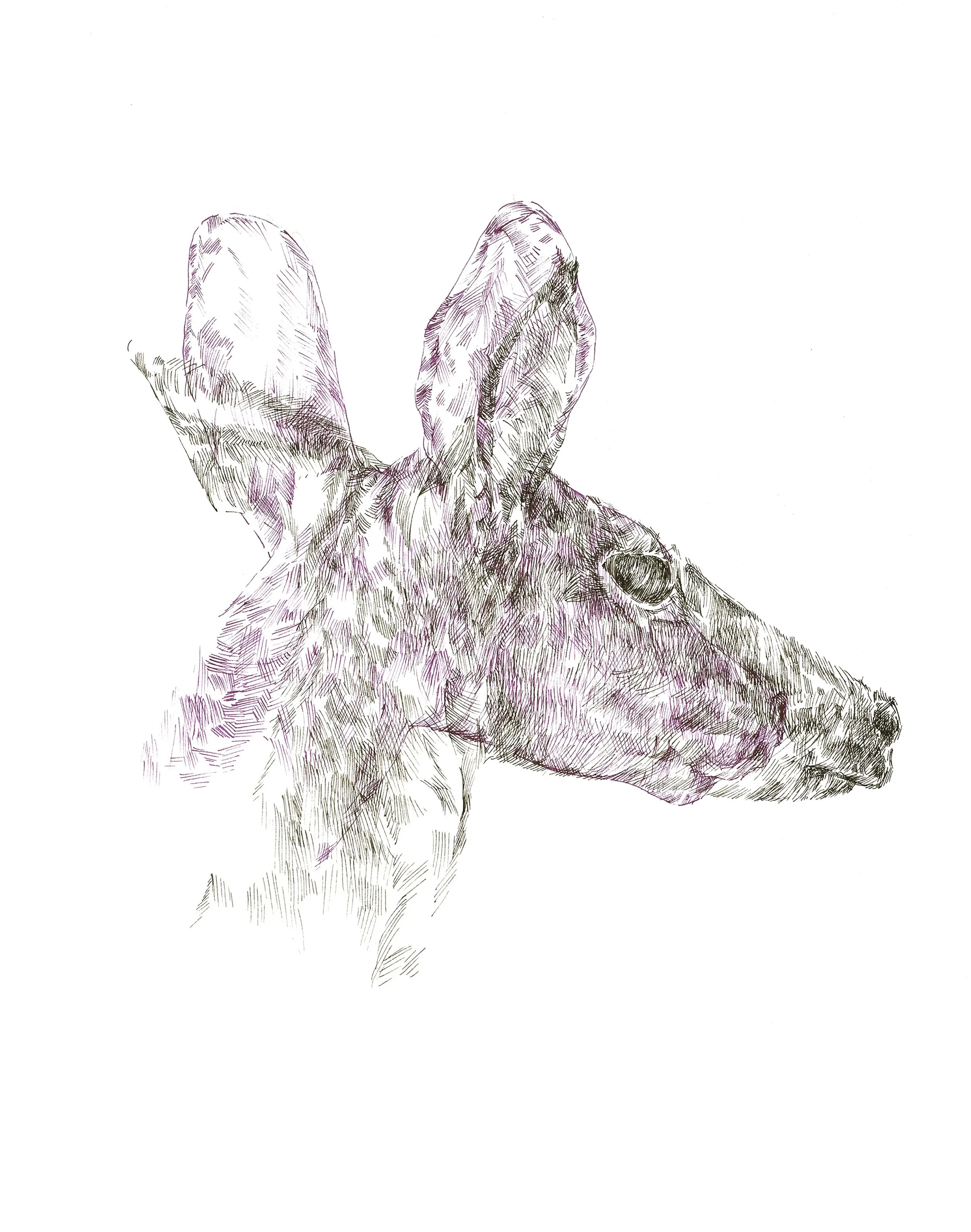 Deer Intertwined