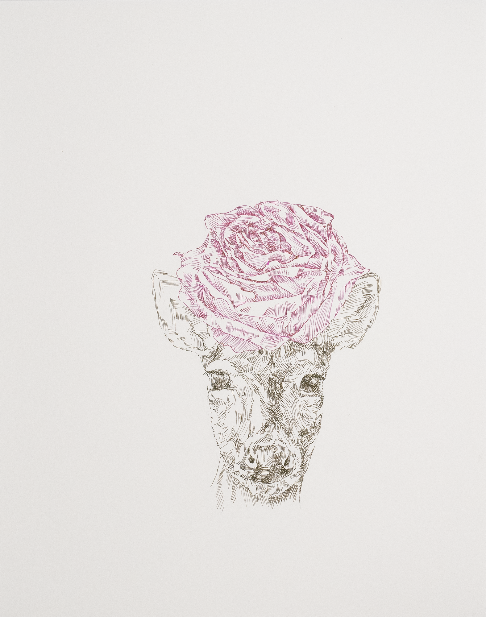 Deer with Rose