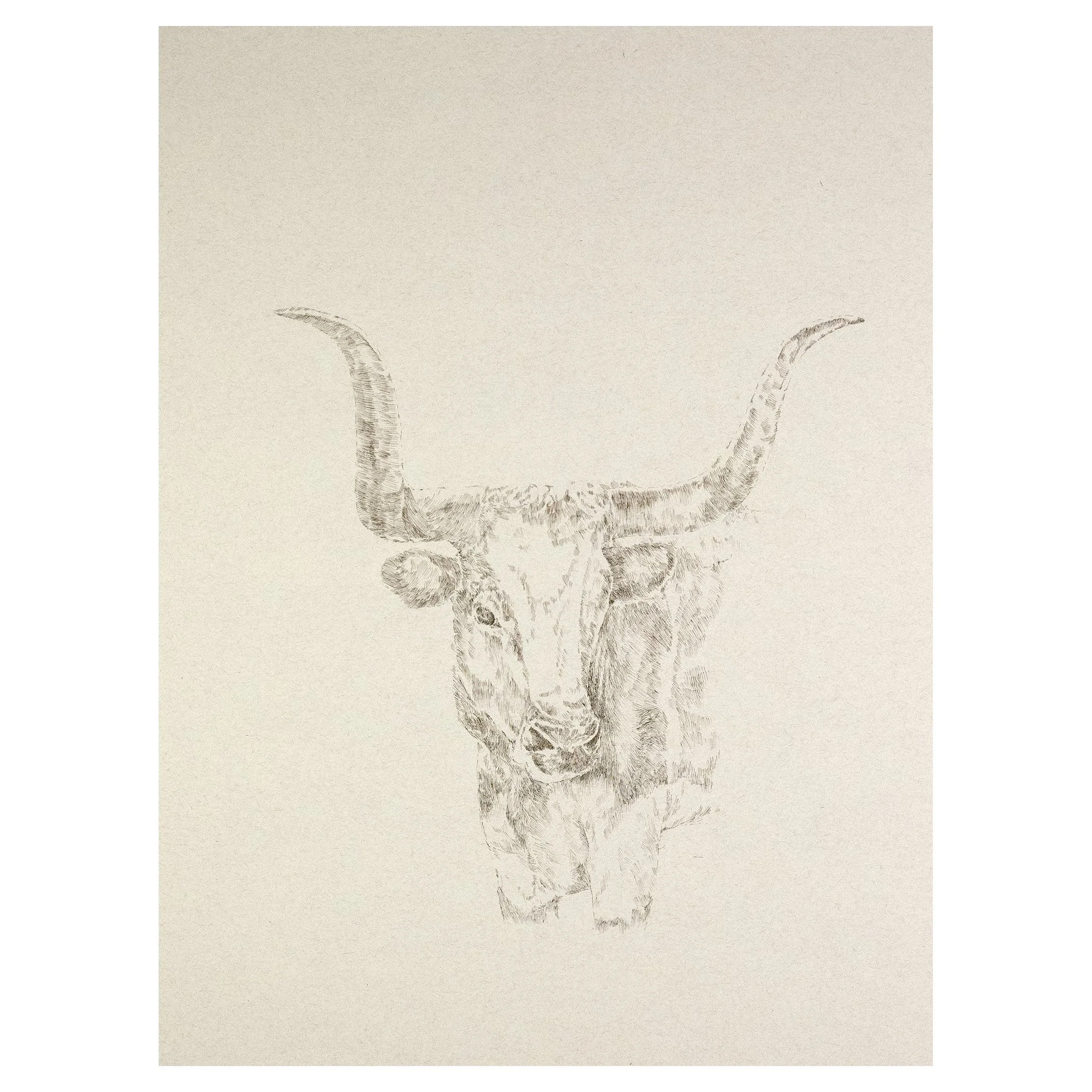Sumrall_Stephen_WS Bull.jpg