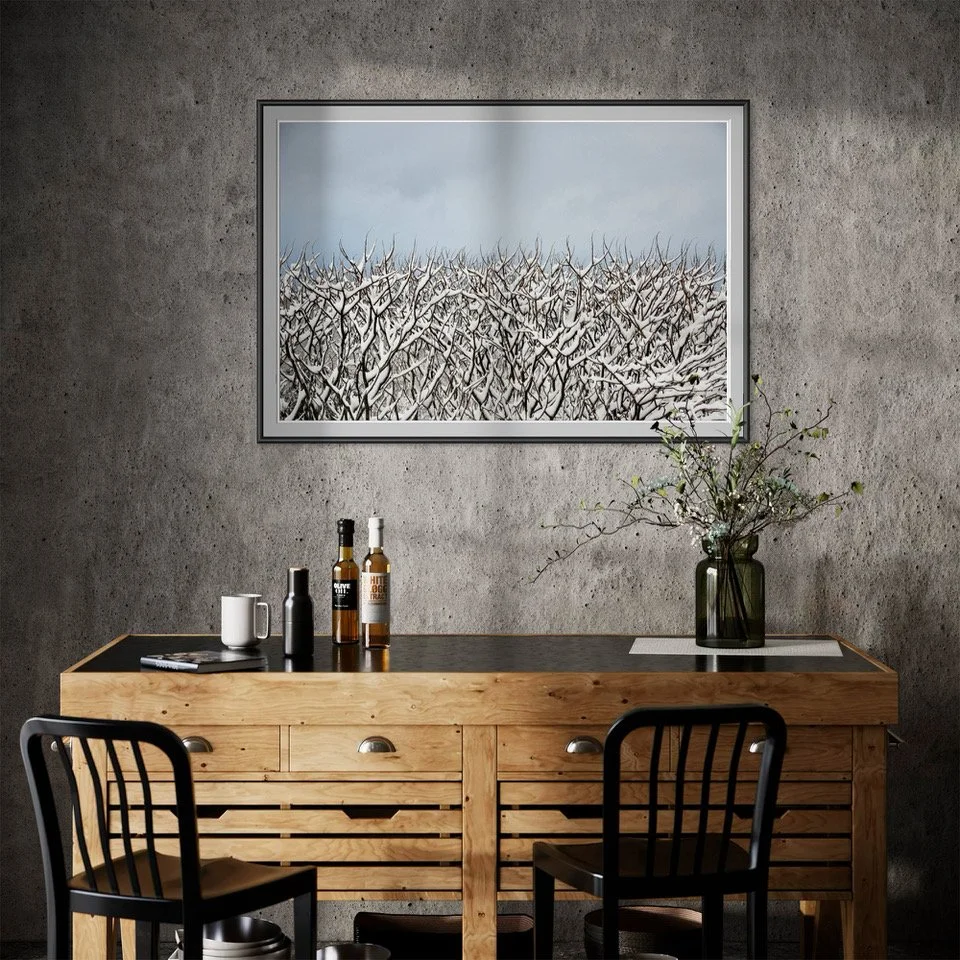 4 2000 Sumac and Smow Mock Up d SQ.jpeg