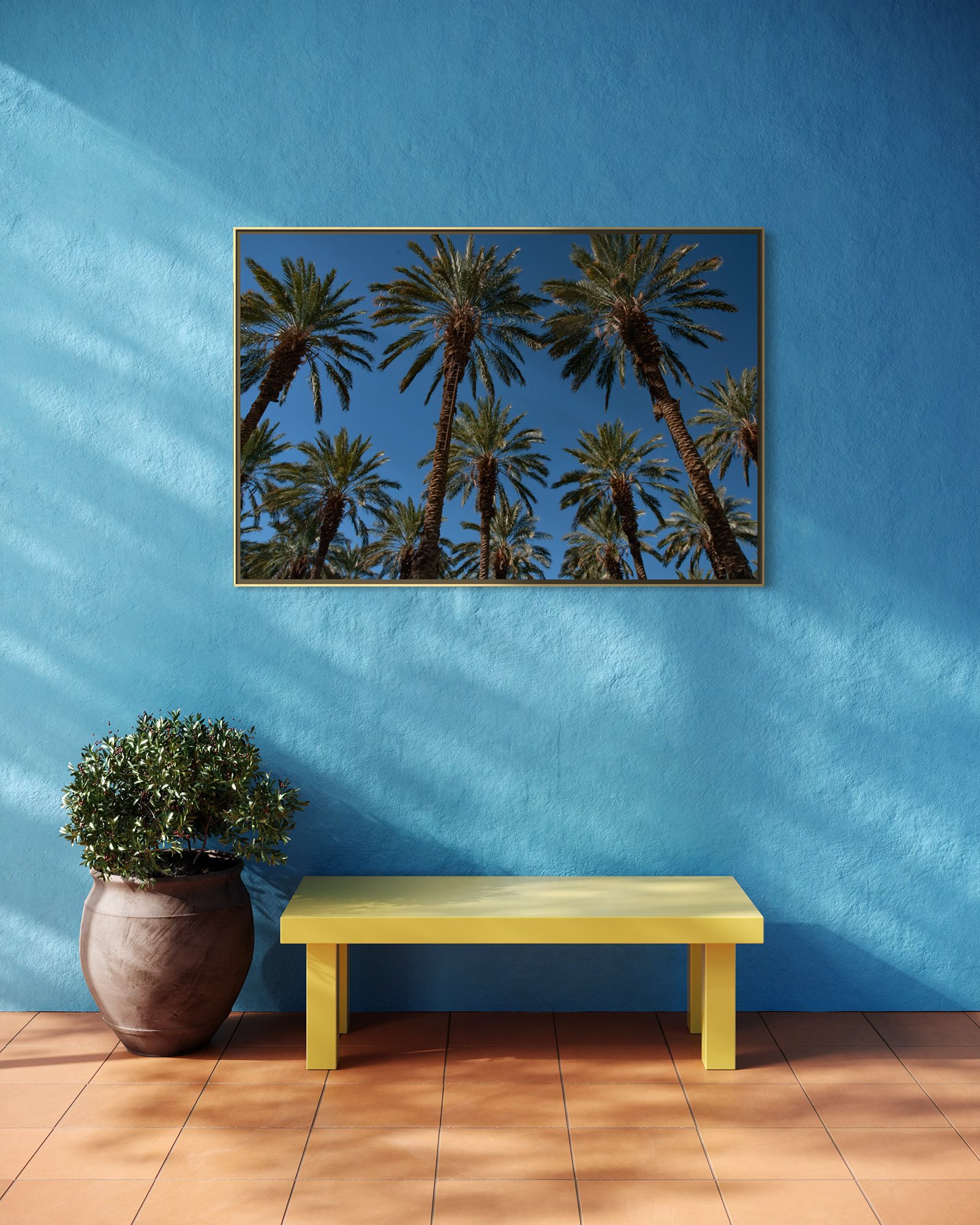 Date Palms Mock Up 1.jpg