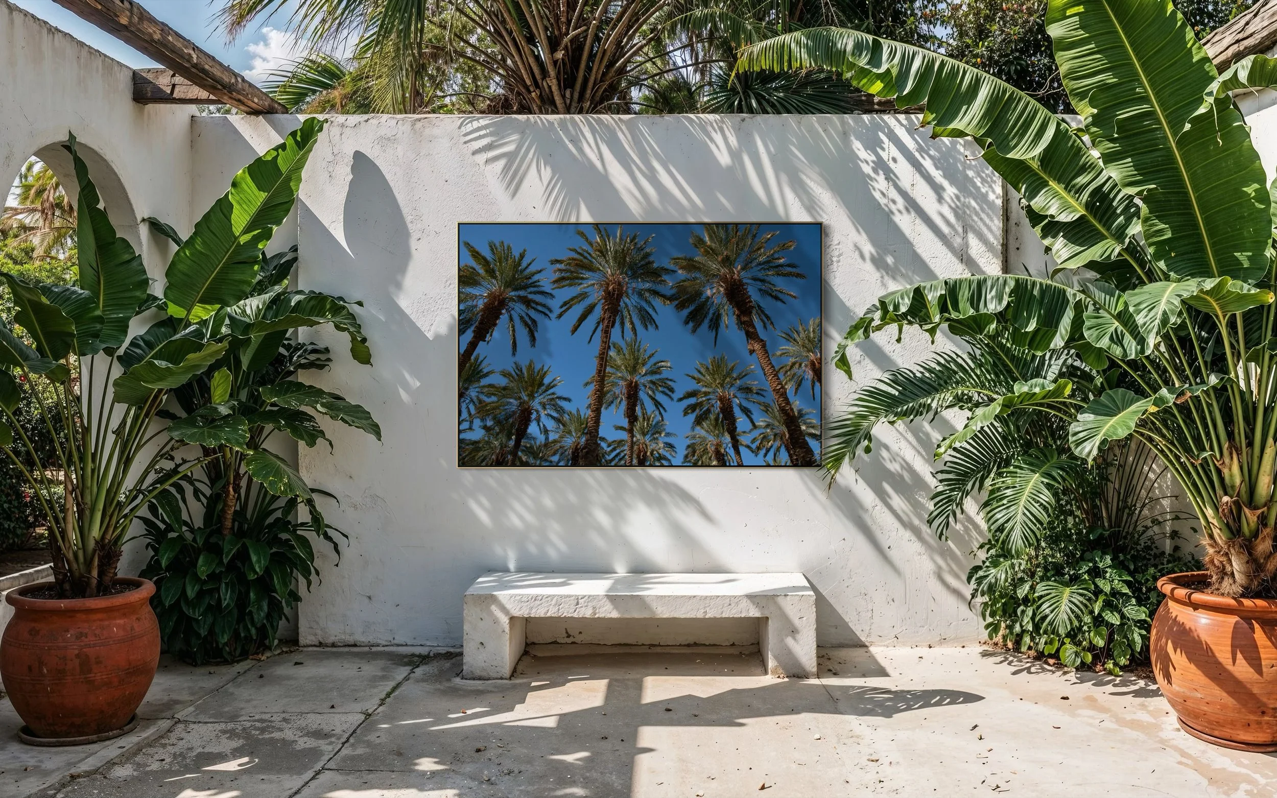 Date Palms Mock Up 2.jpg