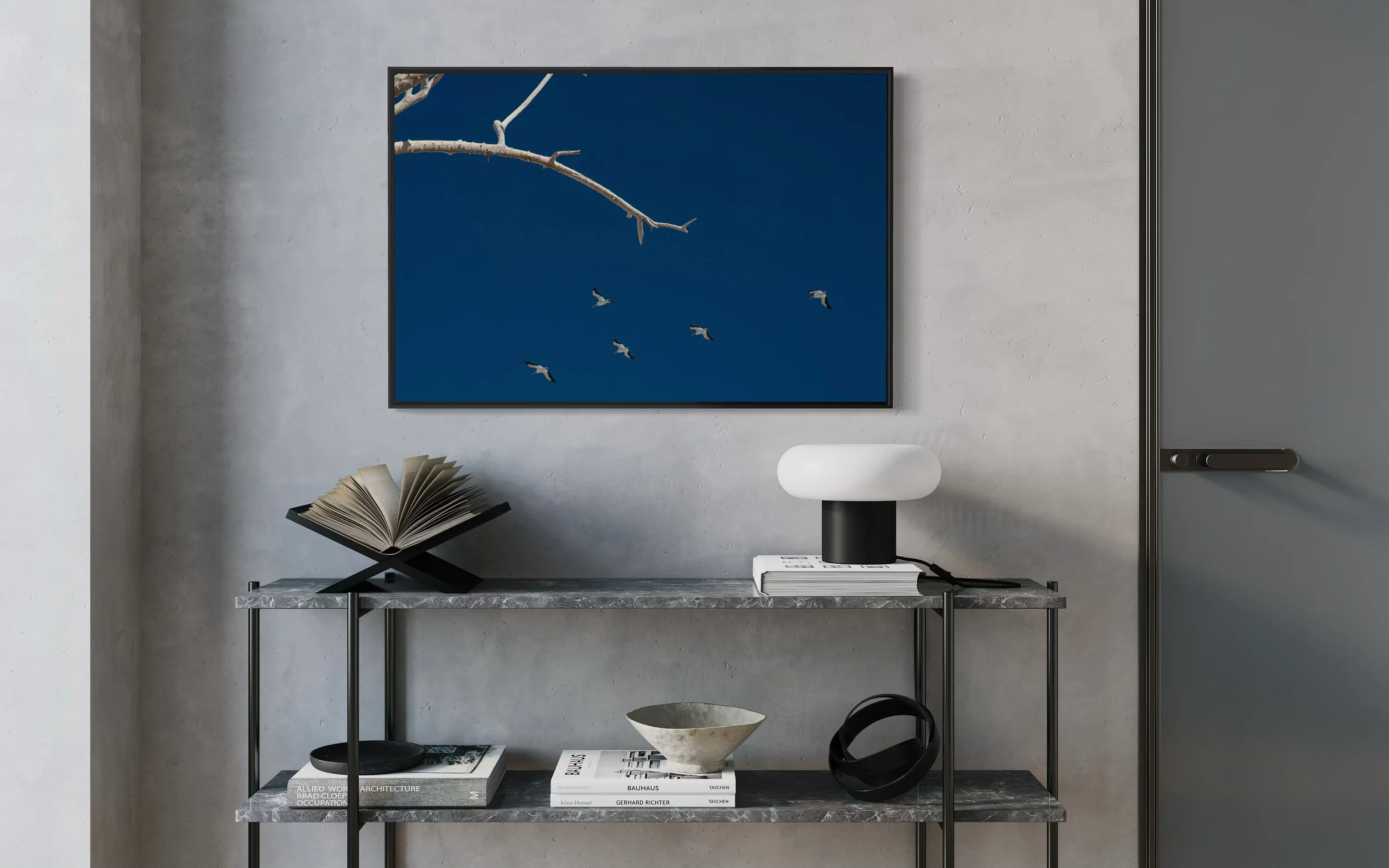 Five Pelicans Mock Up 4.jpg