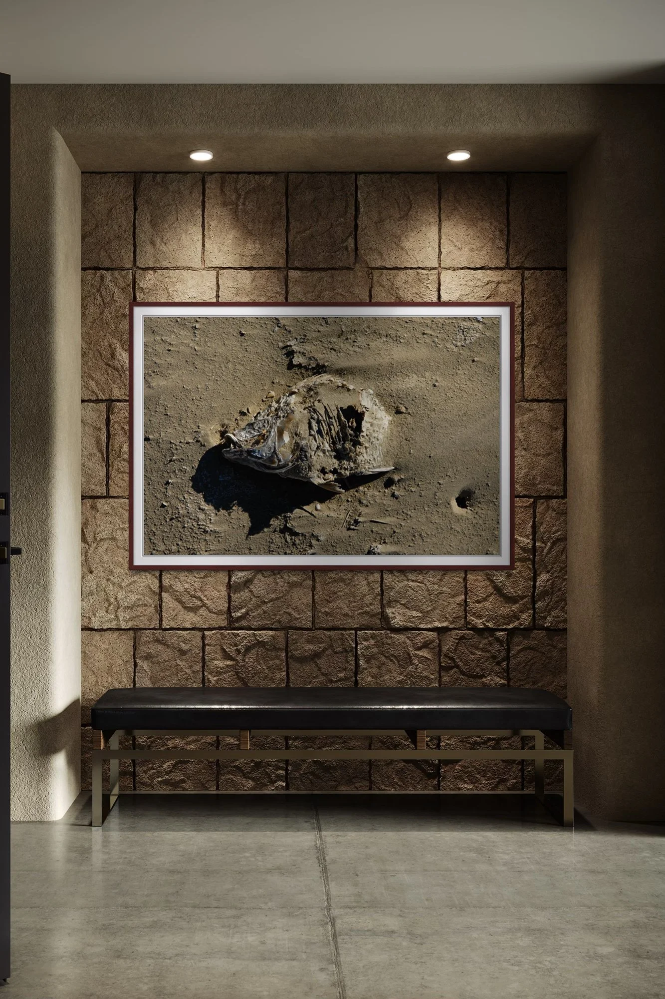 Salton Sea Fish 5 Mock Up 5.jpg