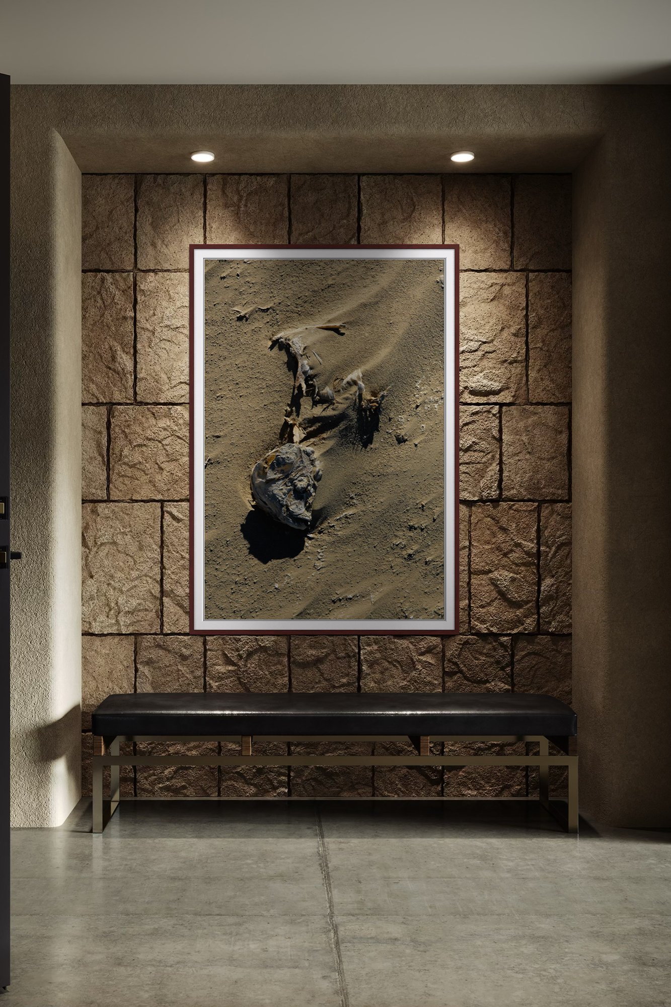 Salton Sea Fish 3 Mock Up 5.jpg