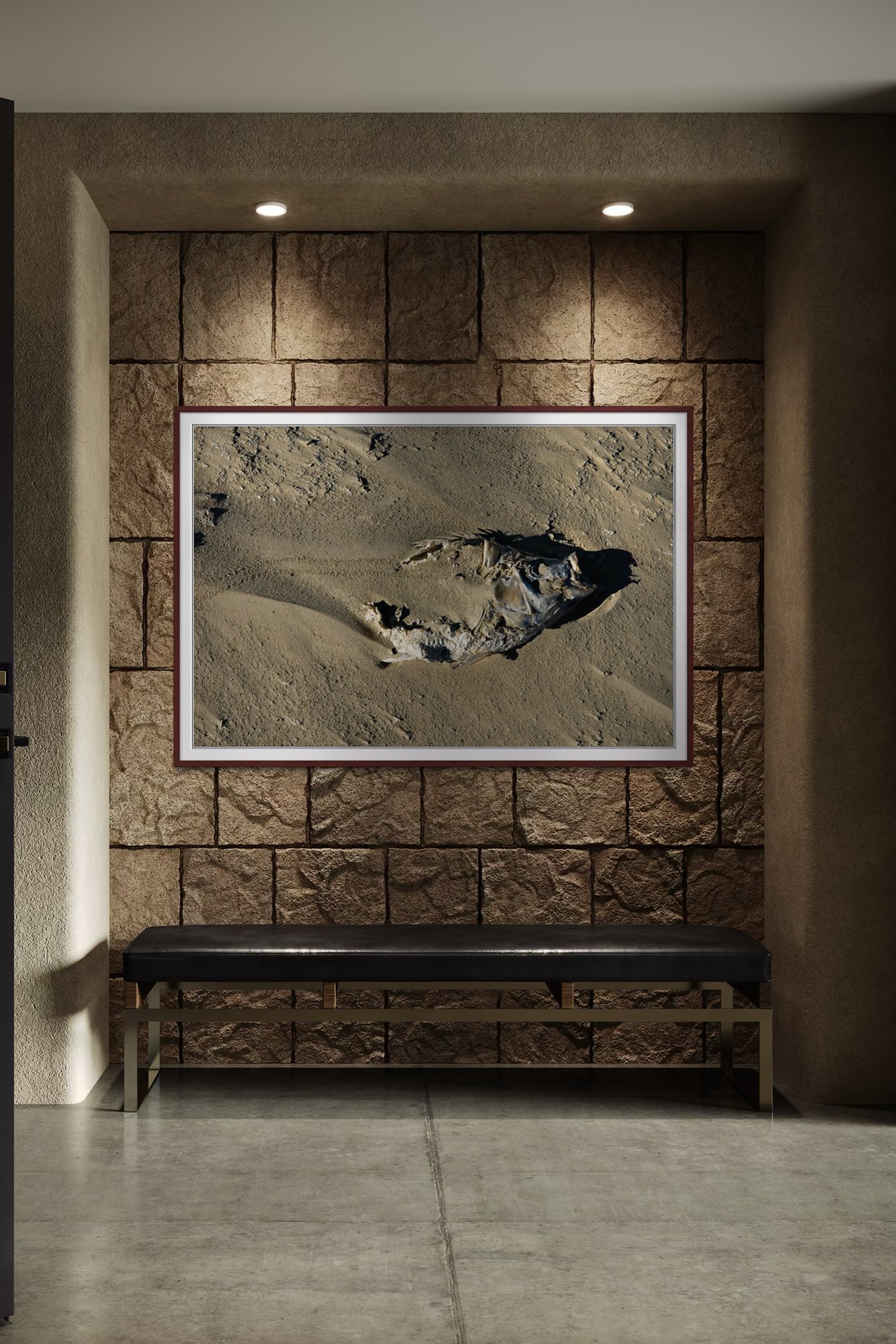 Salton Sea Fish 1 Mock Up 5.jpg