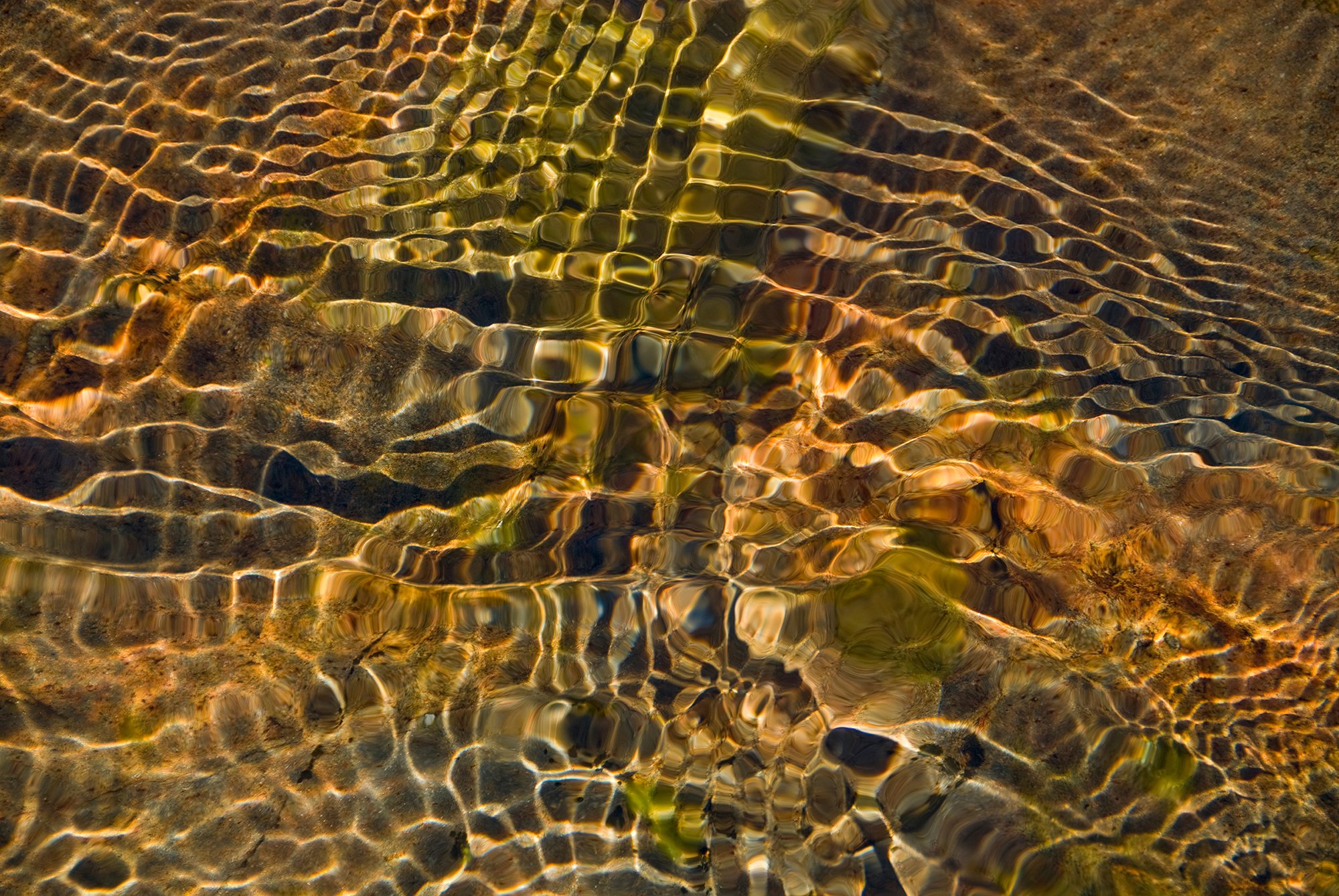 Carrabassett Ripples