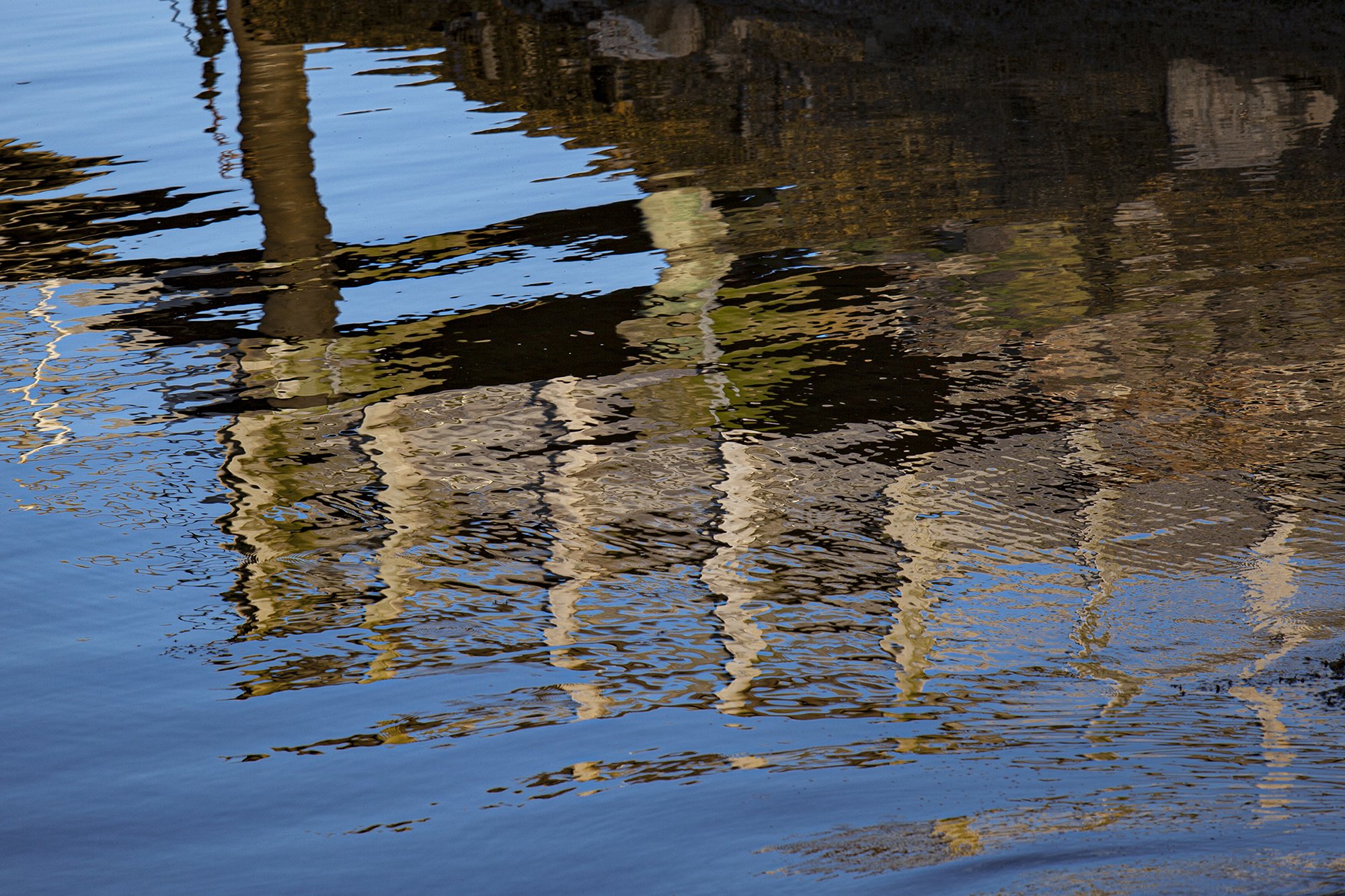 Bucksport Reflection #50