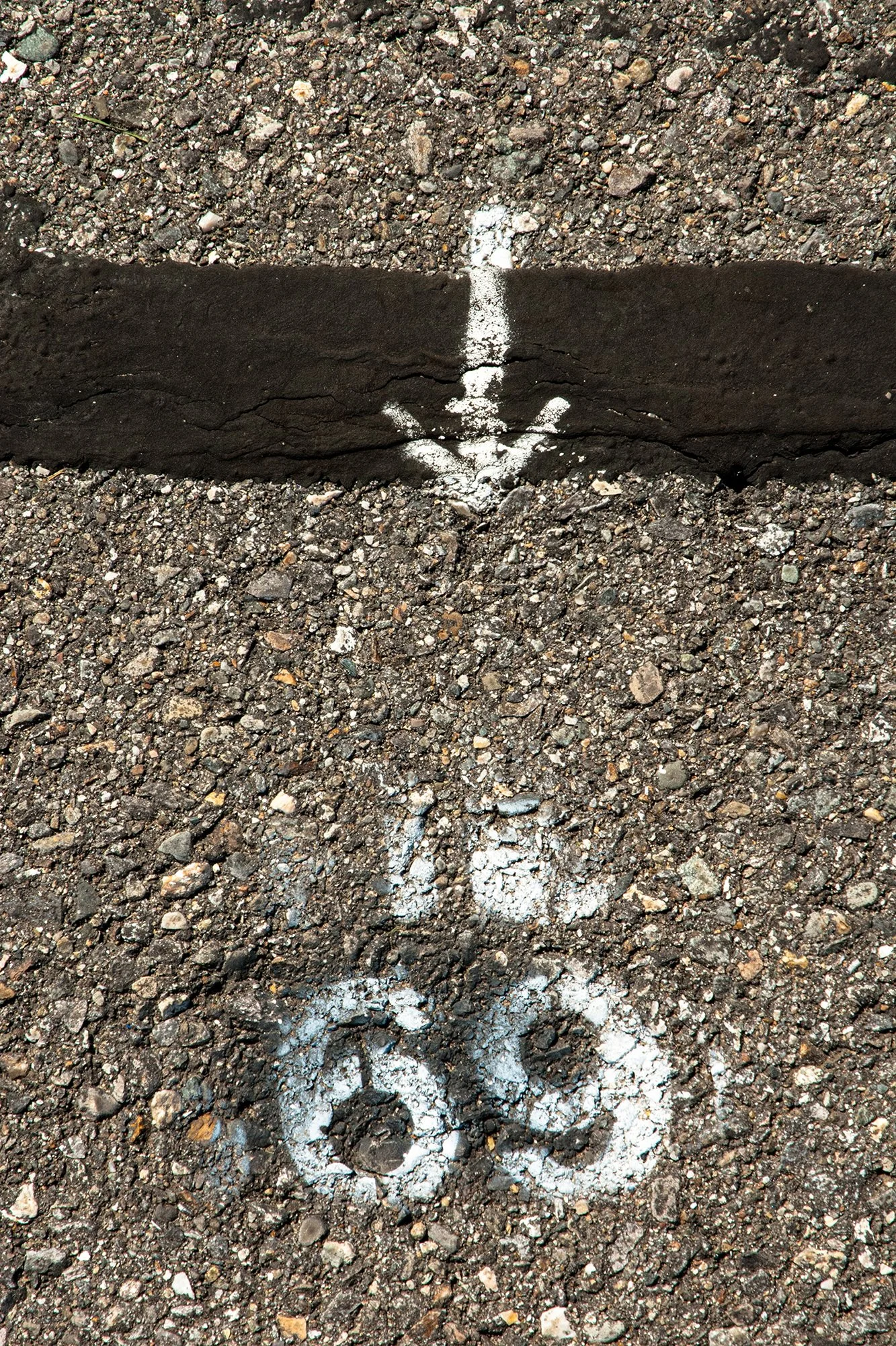 Number 69