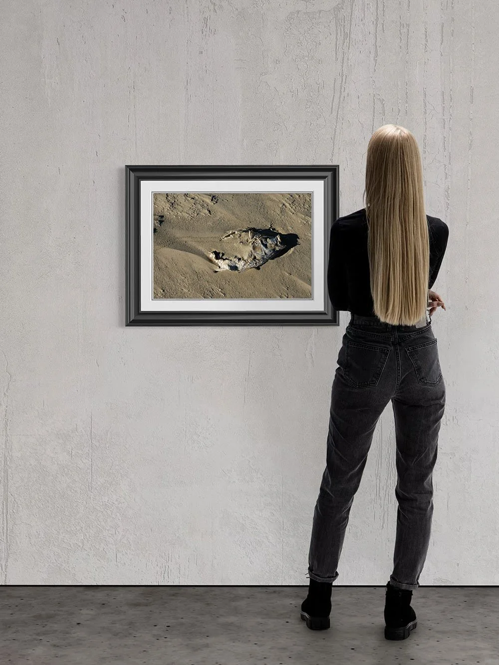 Salton Sea Fish #1