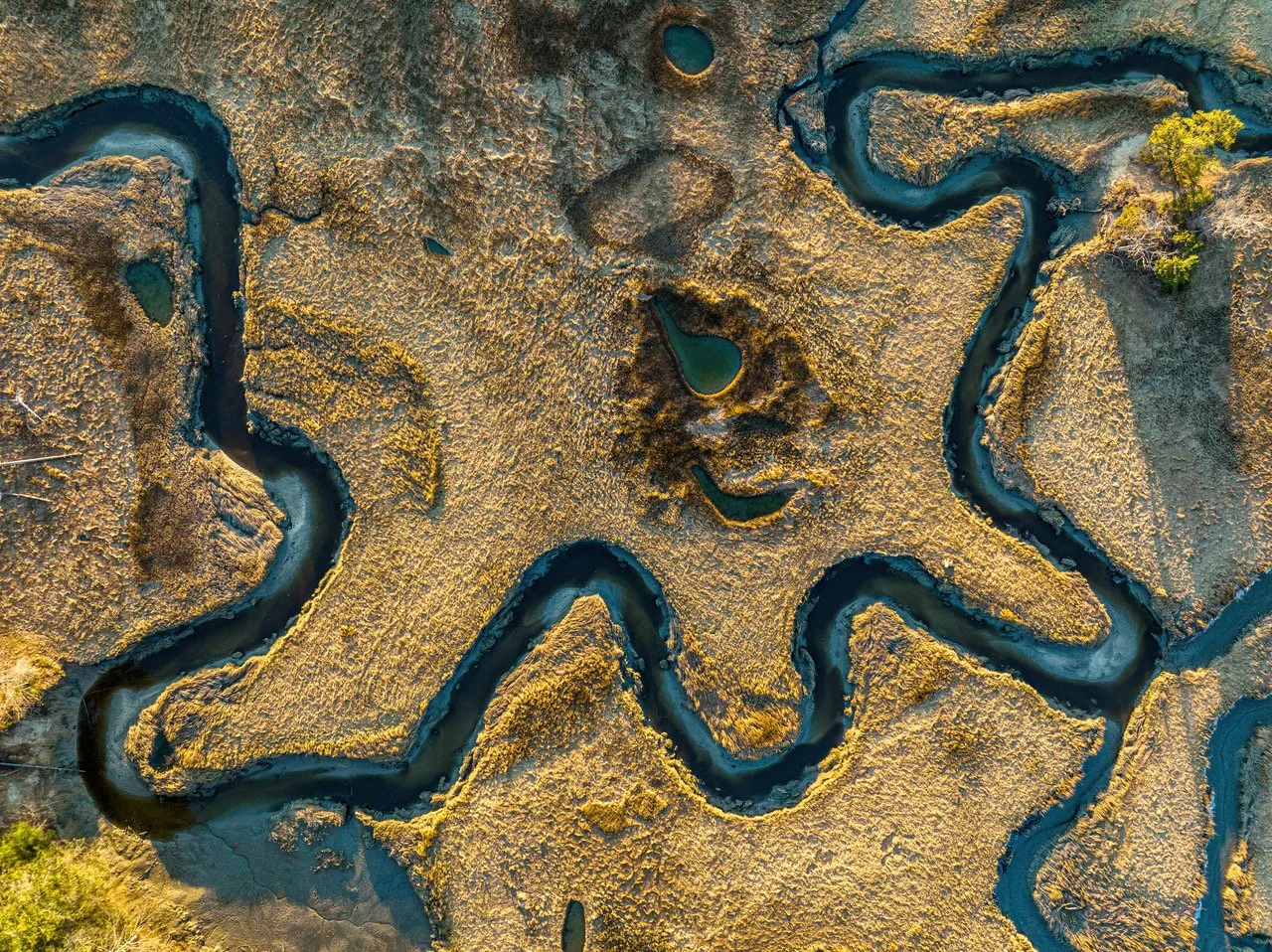 Estuary #442.jpeg