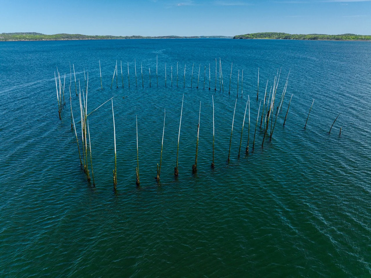 2000-72 Fish Weir.jpeg