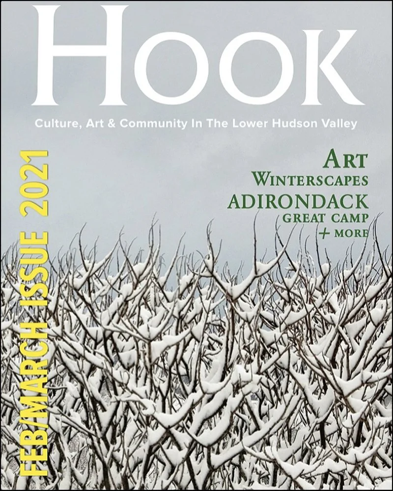 Cover of 'Hook,' a magazine issue featuring snow-covered branches in a field with subtitles about culture, art, community, and regional topics in the Lower Hudson Valley and Adirondacks for March 2021.