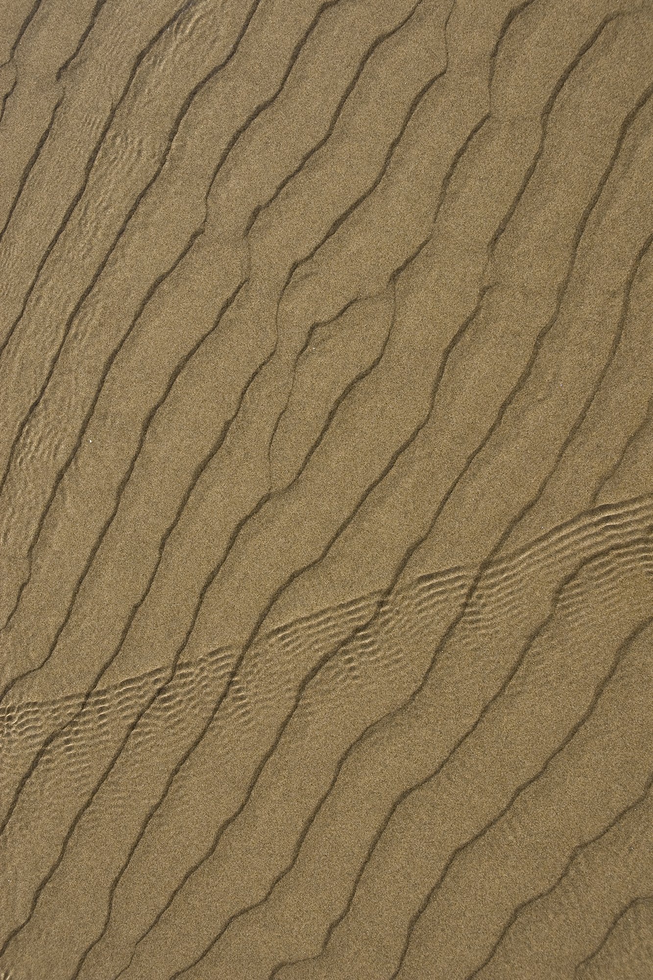 Cannon Beach Ripple