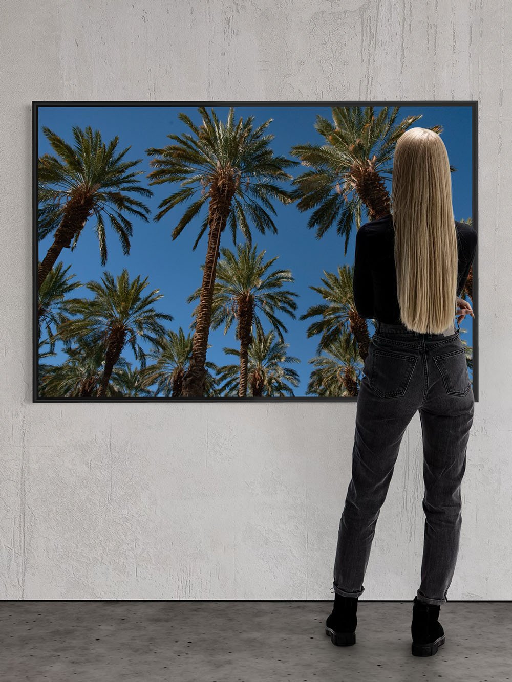 Date Palms Huge.jpg