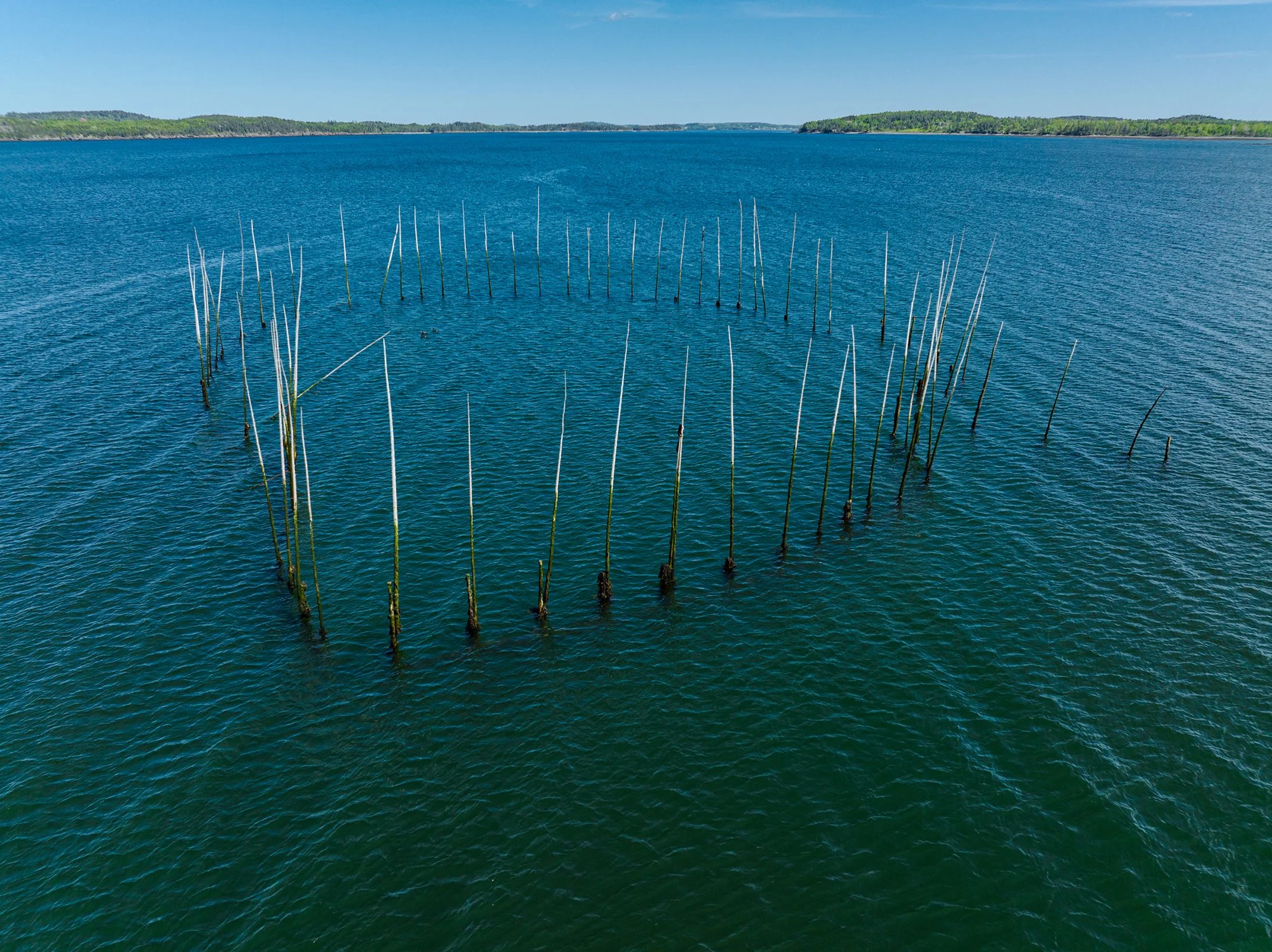 Fish Weir